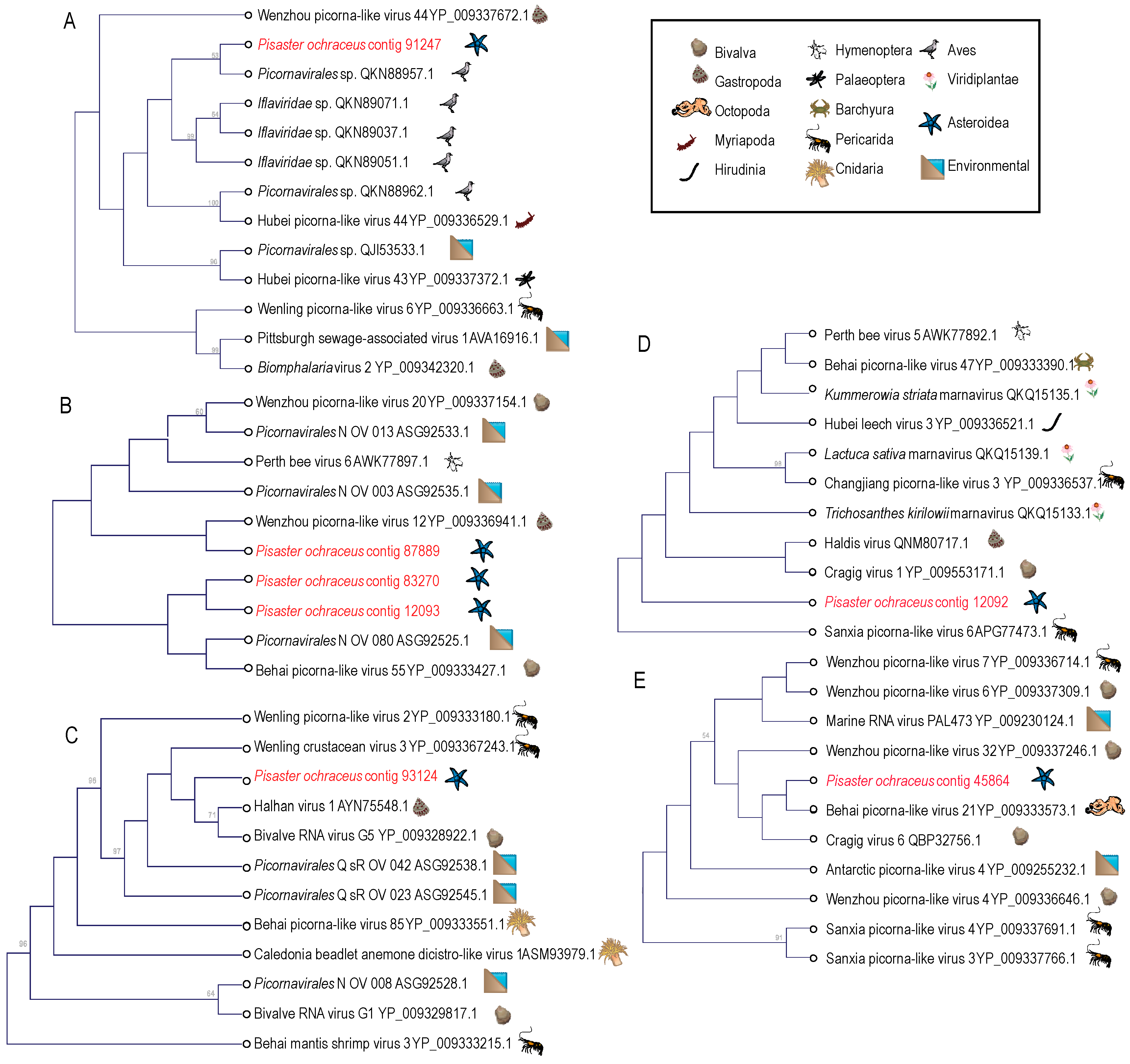 Viruses 12 01332 g004 Viruses 12 01332 g004