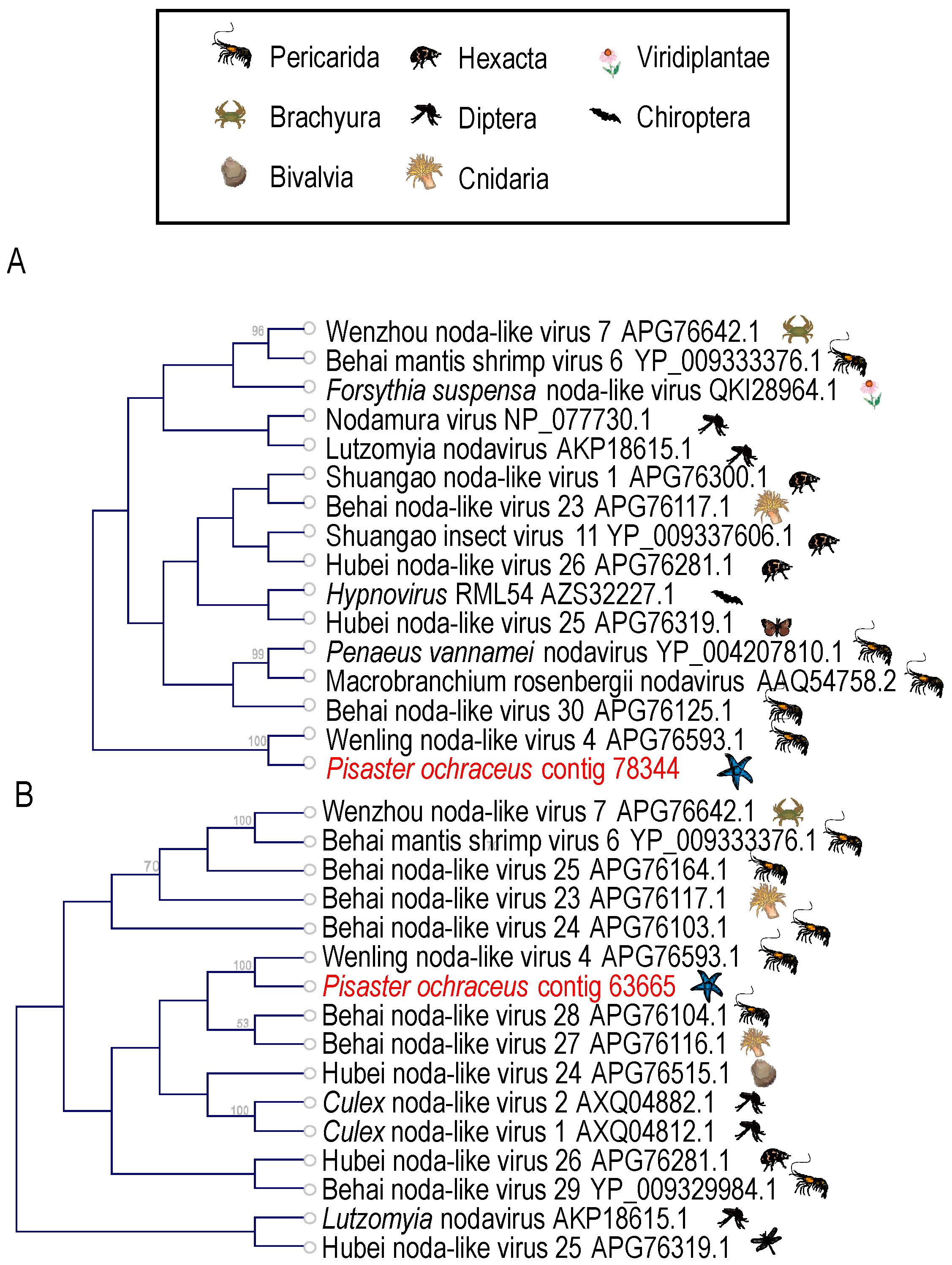 Viruses 12 01332 g005 Viruses 12 01332 g005