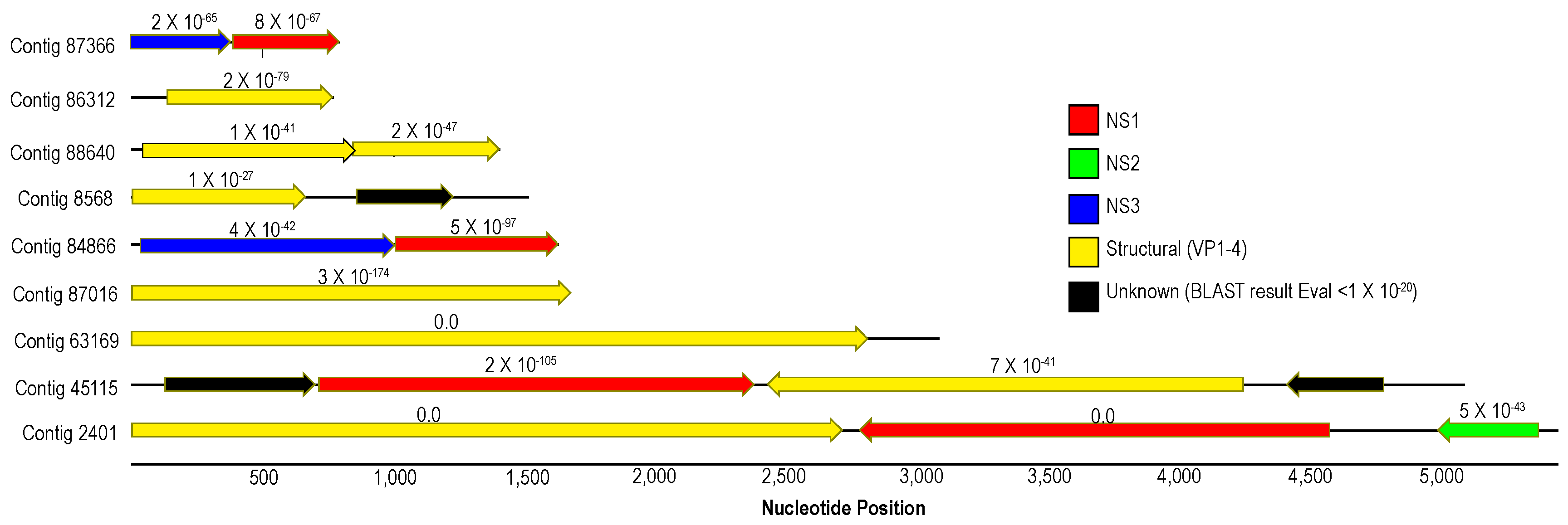 Viruses 12 01332 g006 Viruses 12 01332 g006