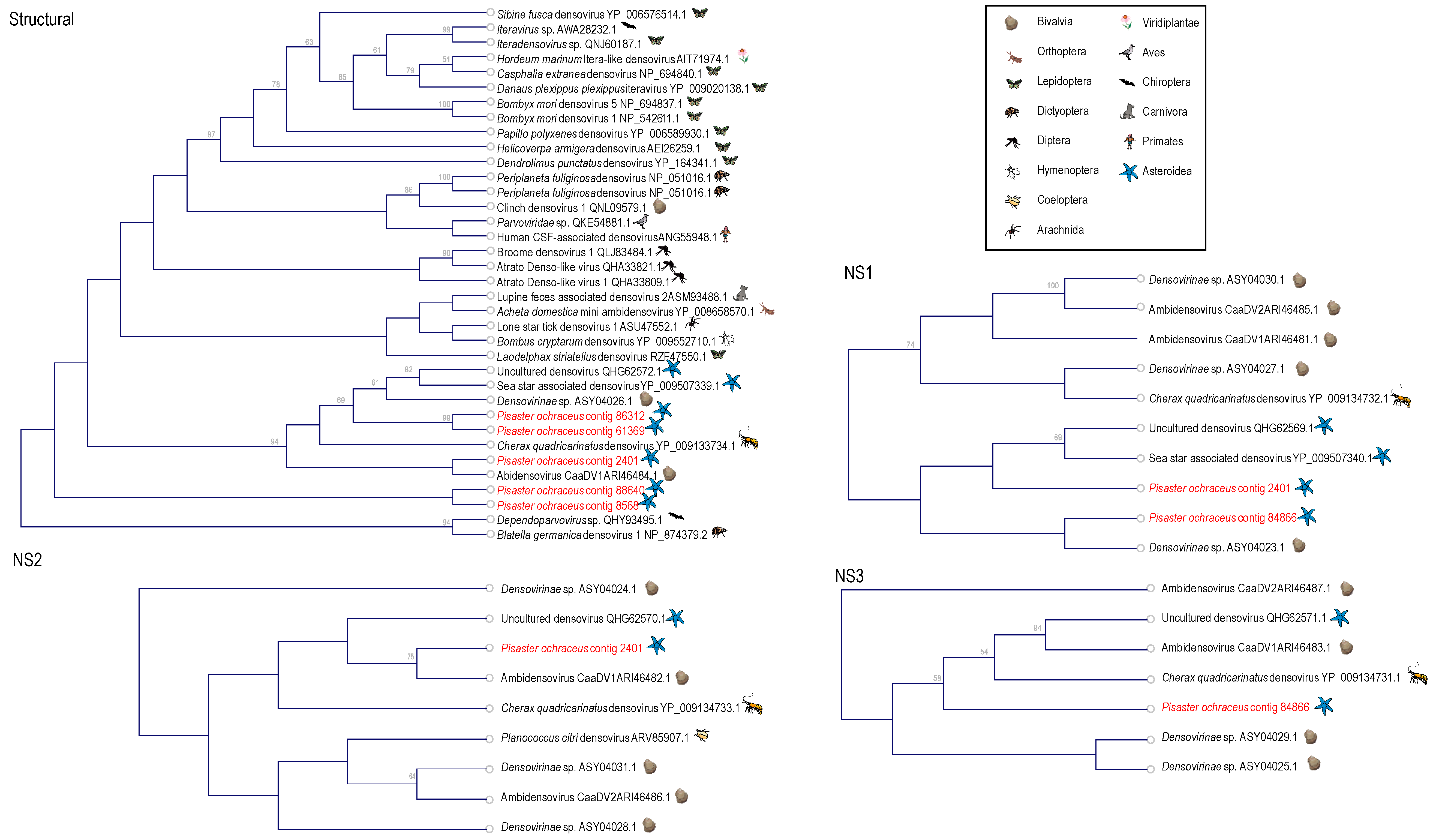 Viruses 12 01332 g007 Viruses 12 01332 g007