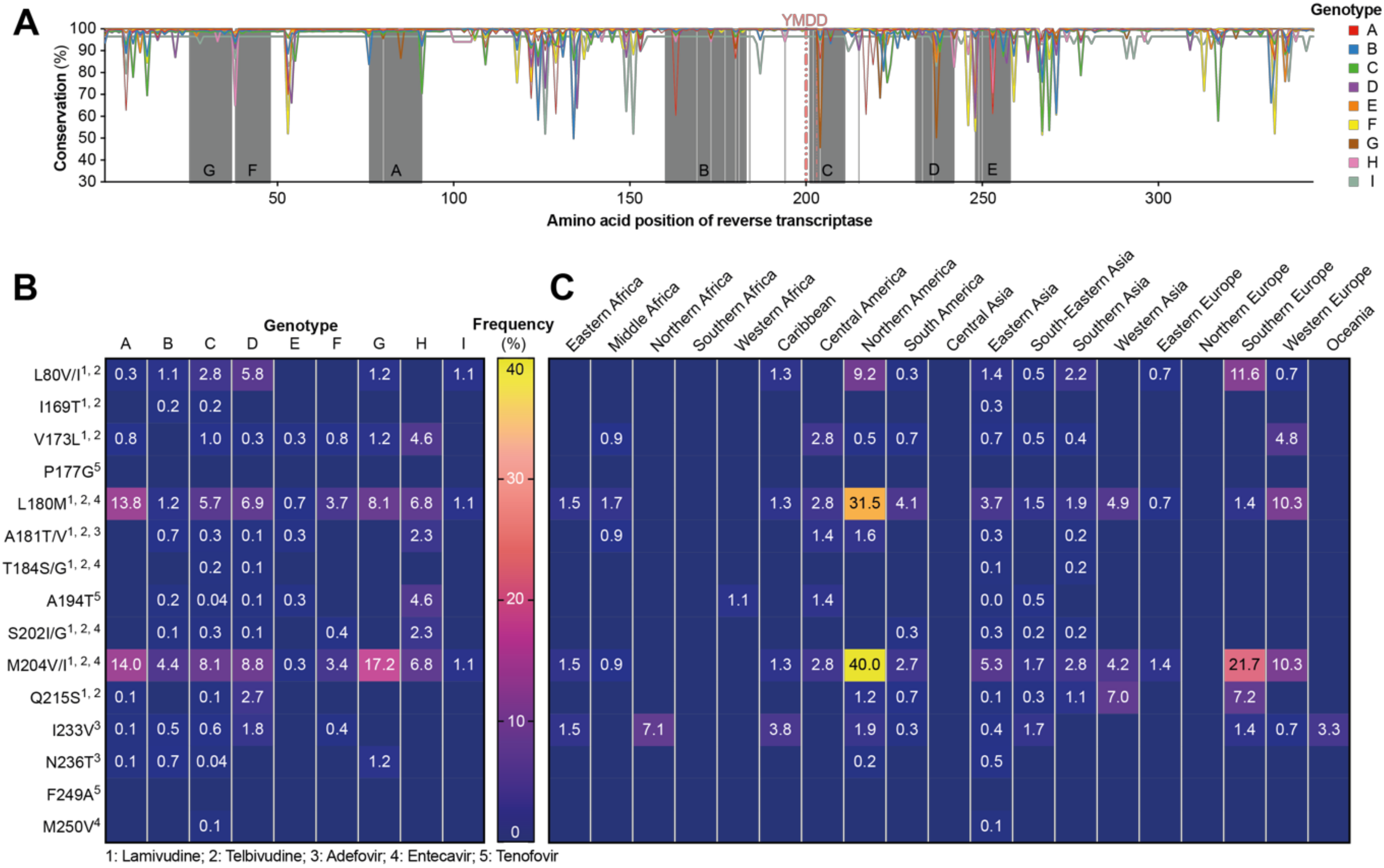 Viruses 12 01344 g004