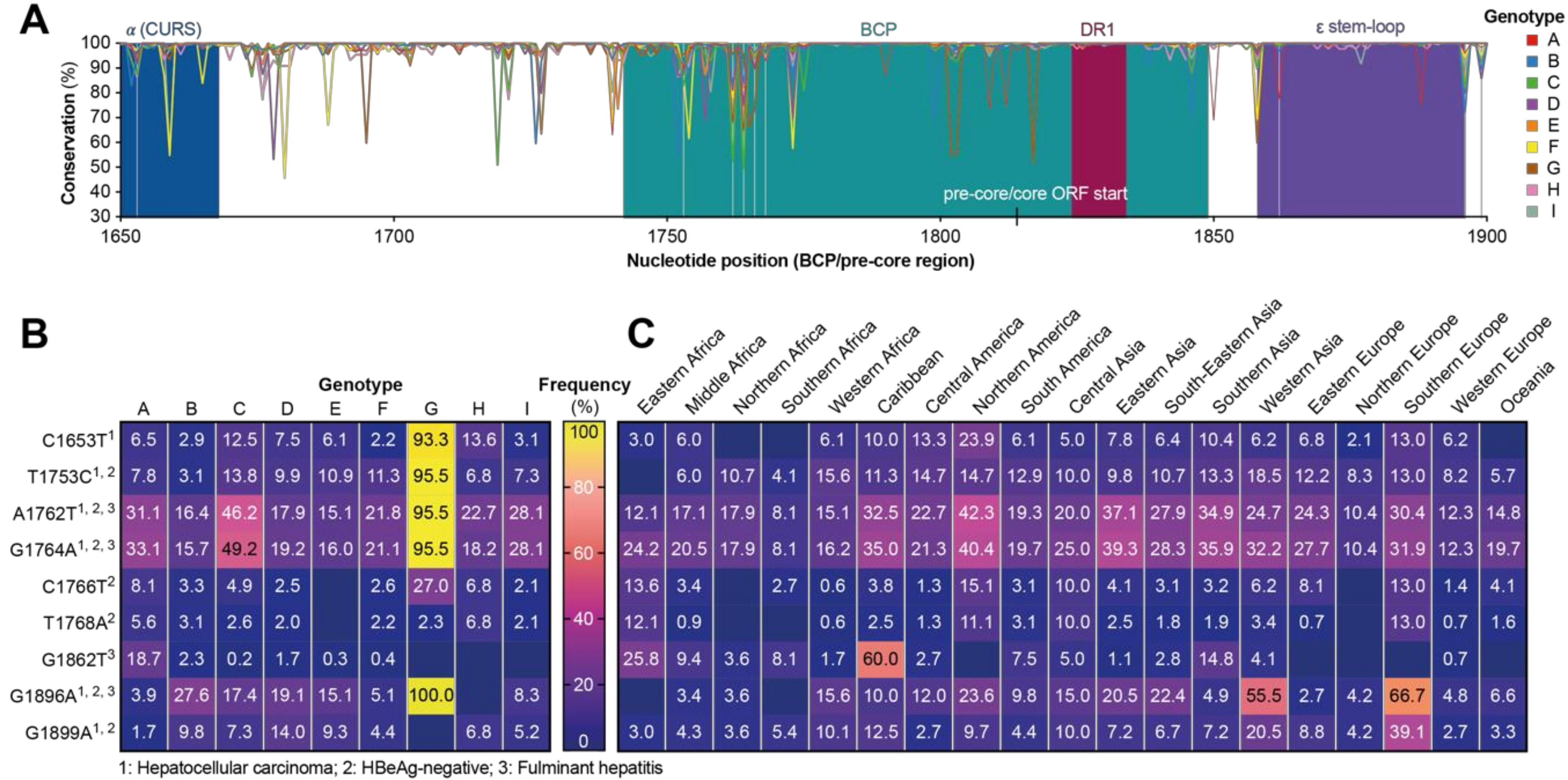 Viruses 12 01344 g005