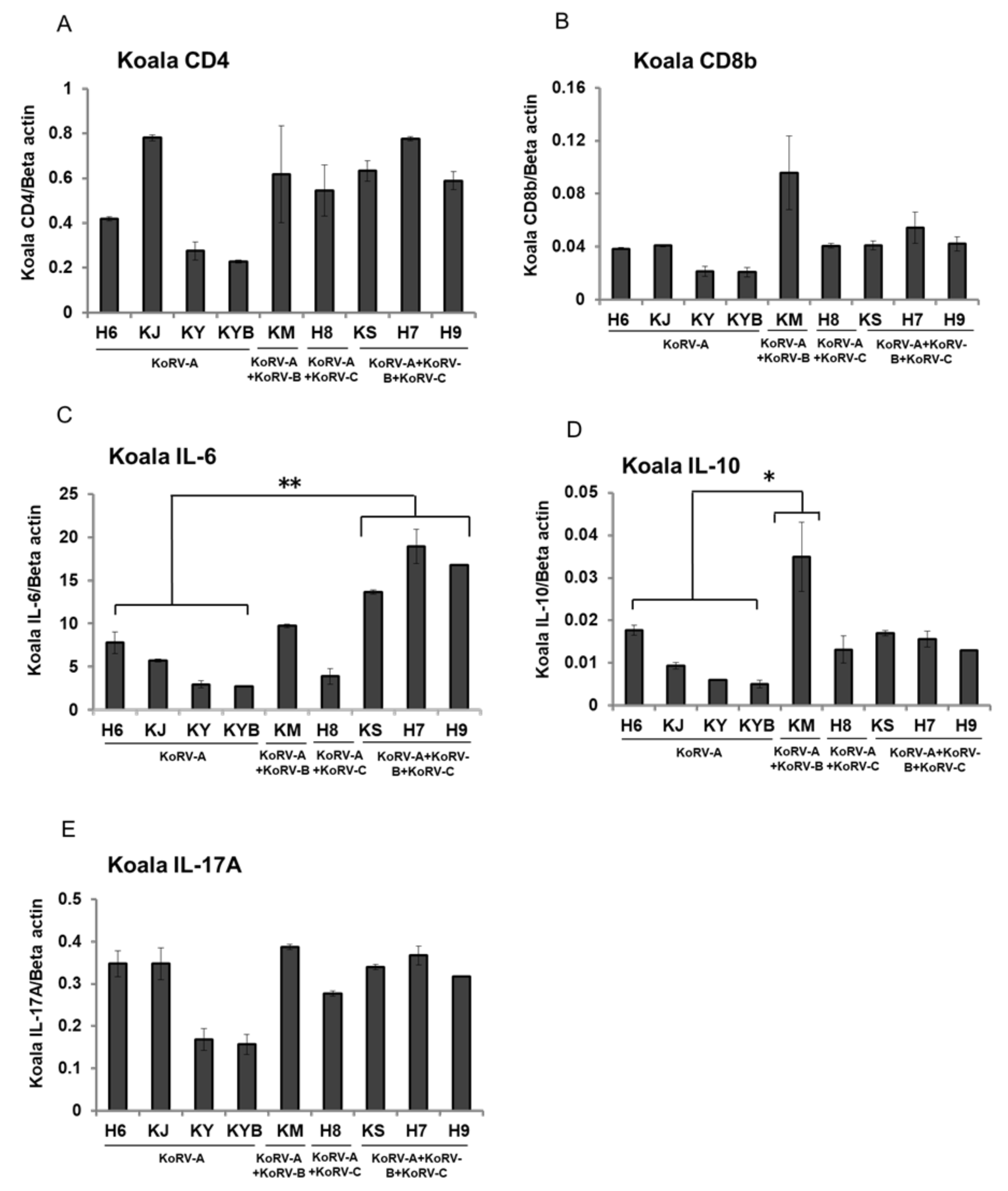 Viruses 12 01415 g001 Viruses 12 01415 g001
