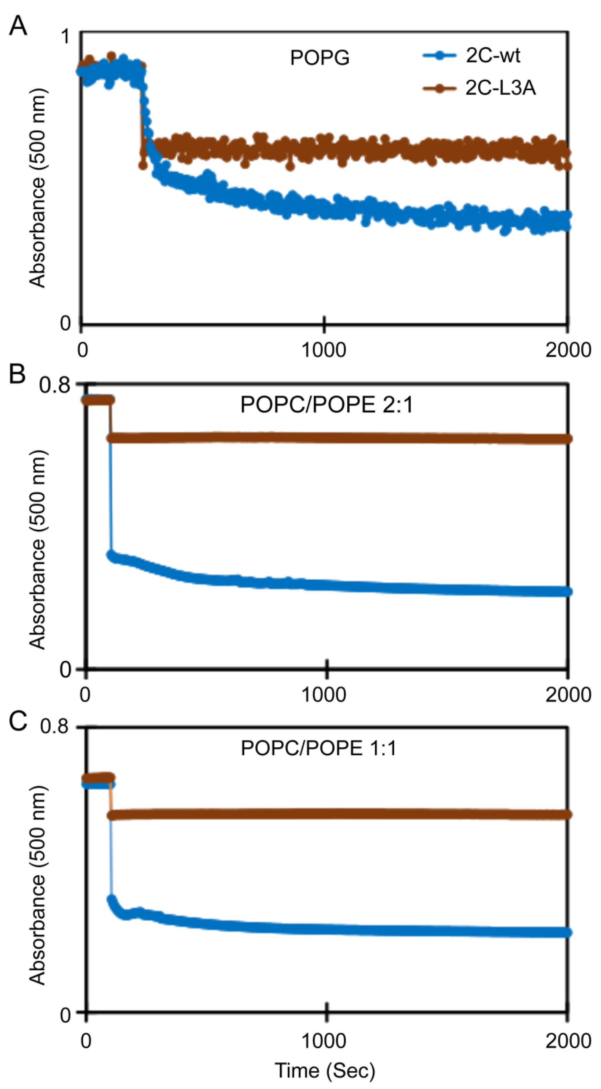 Viruses 12 01466 g002