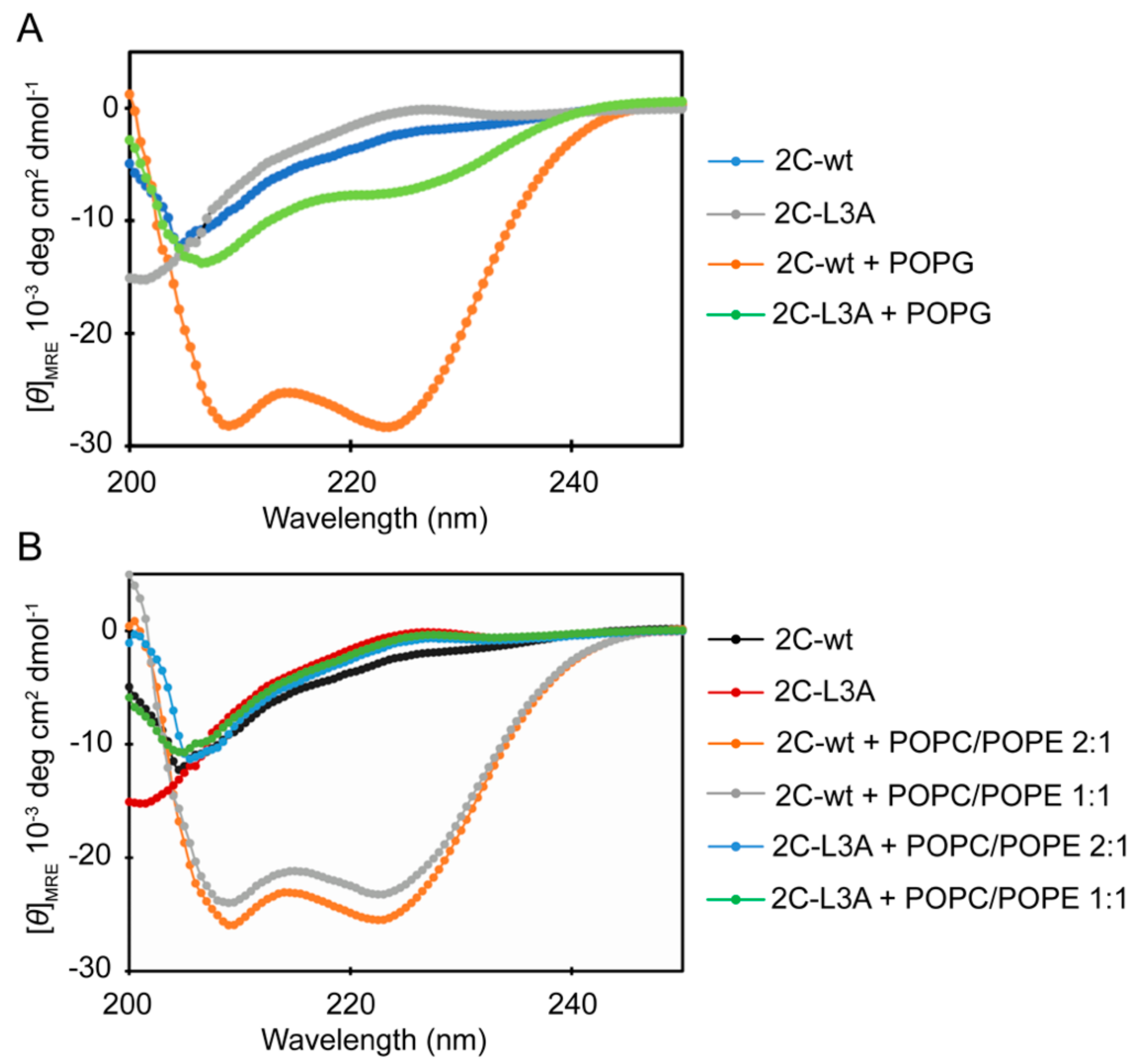 Viruses 12 01466 g003