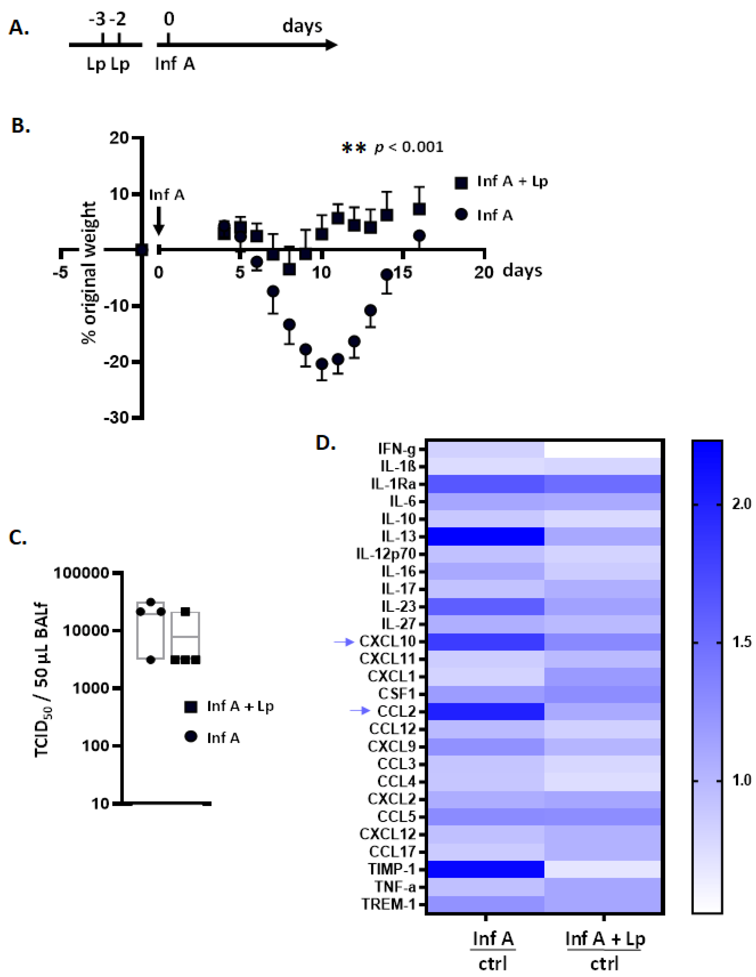 Viruses 13 00002 g001