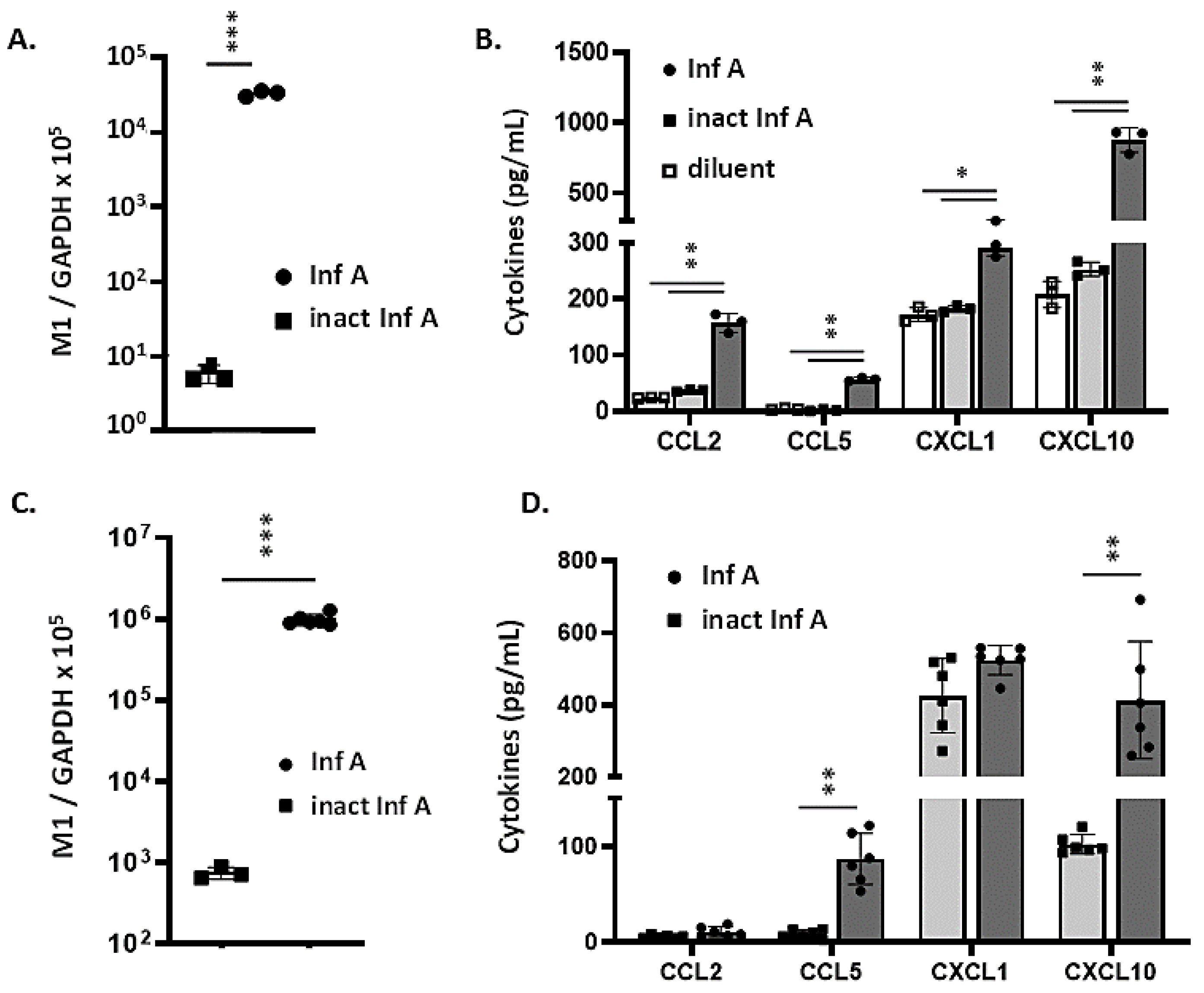 Viruses 13 00002 g002