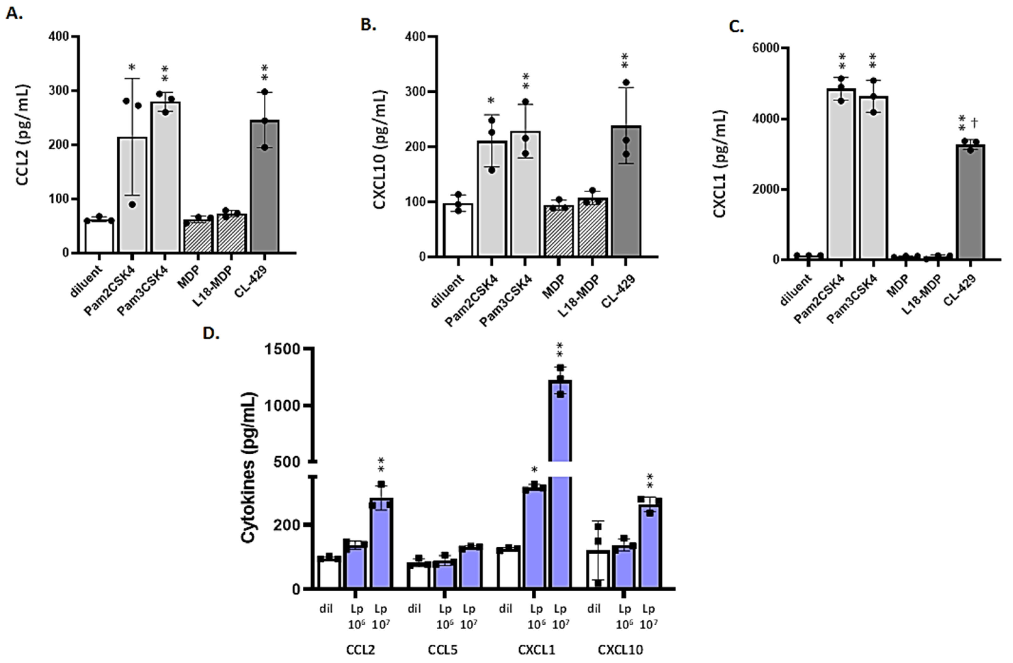 Viruses 13 00002 g004