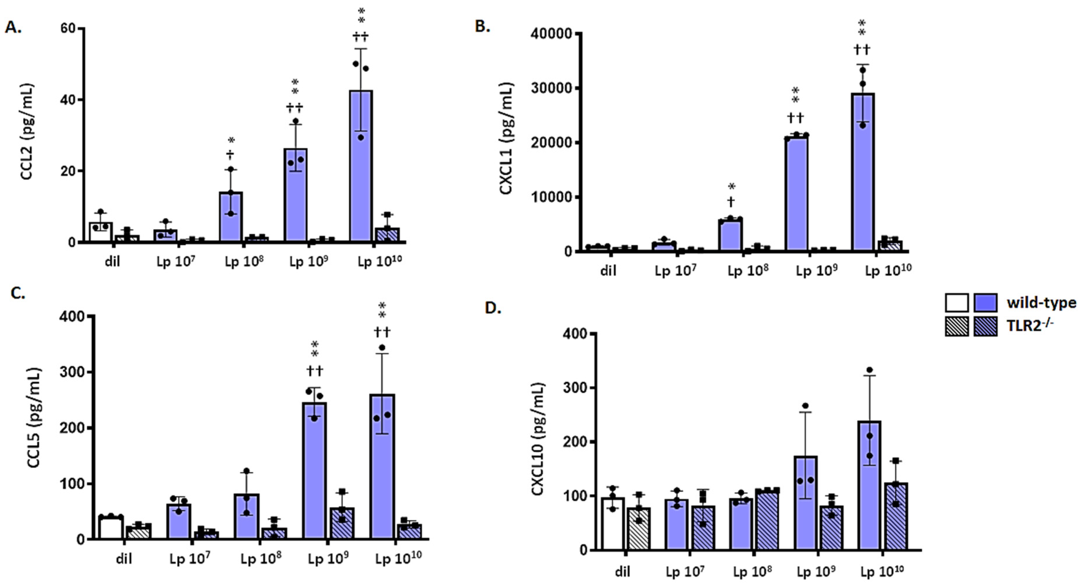 Viruses 13 00002 g006