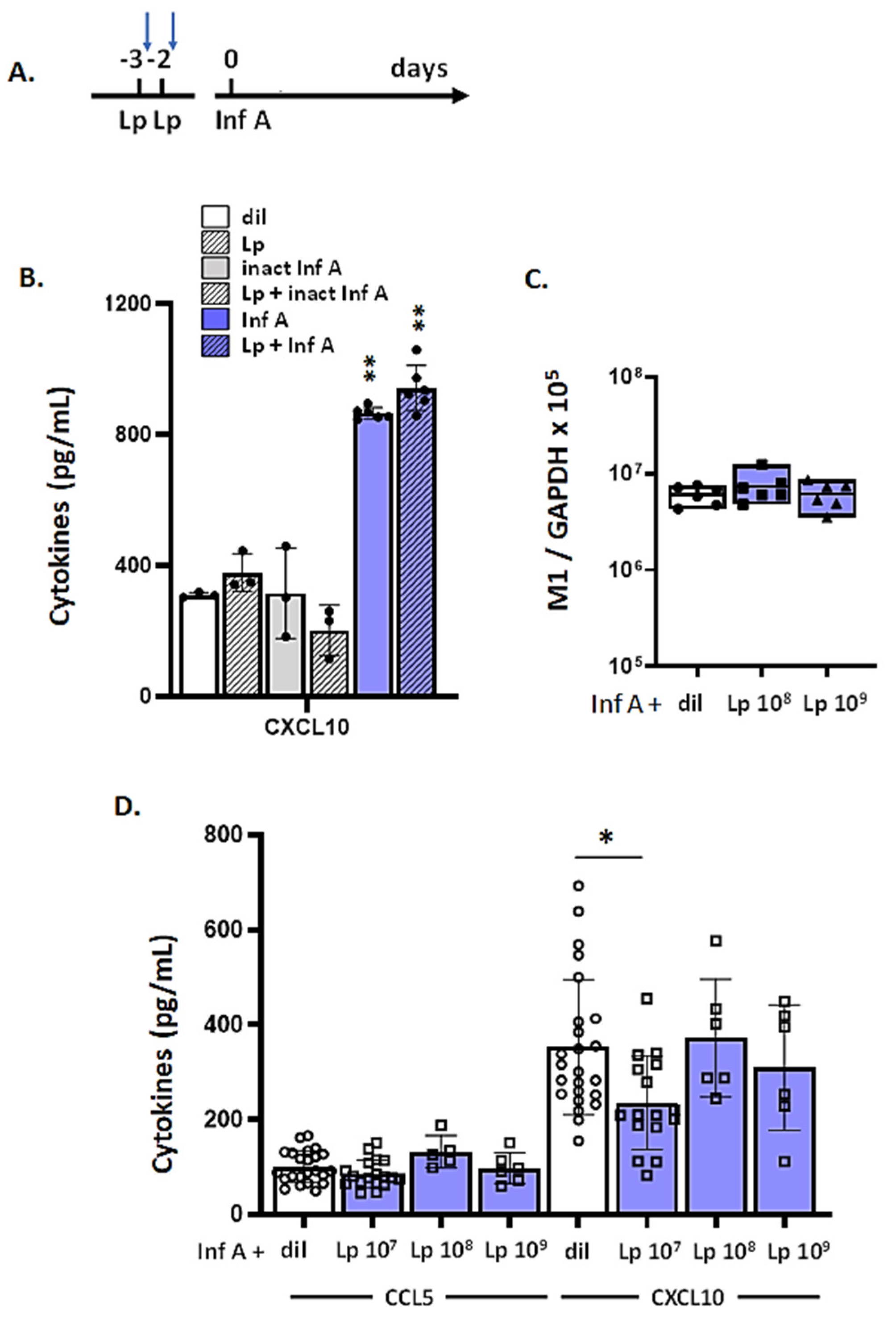 Viruses 13 00002 g007