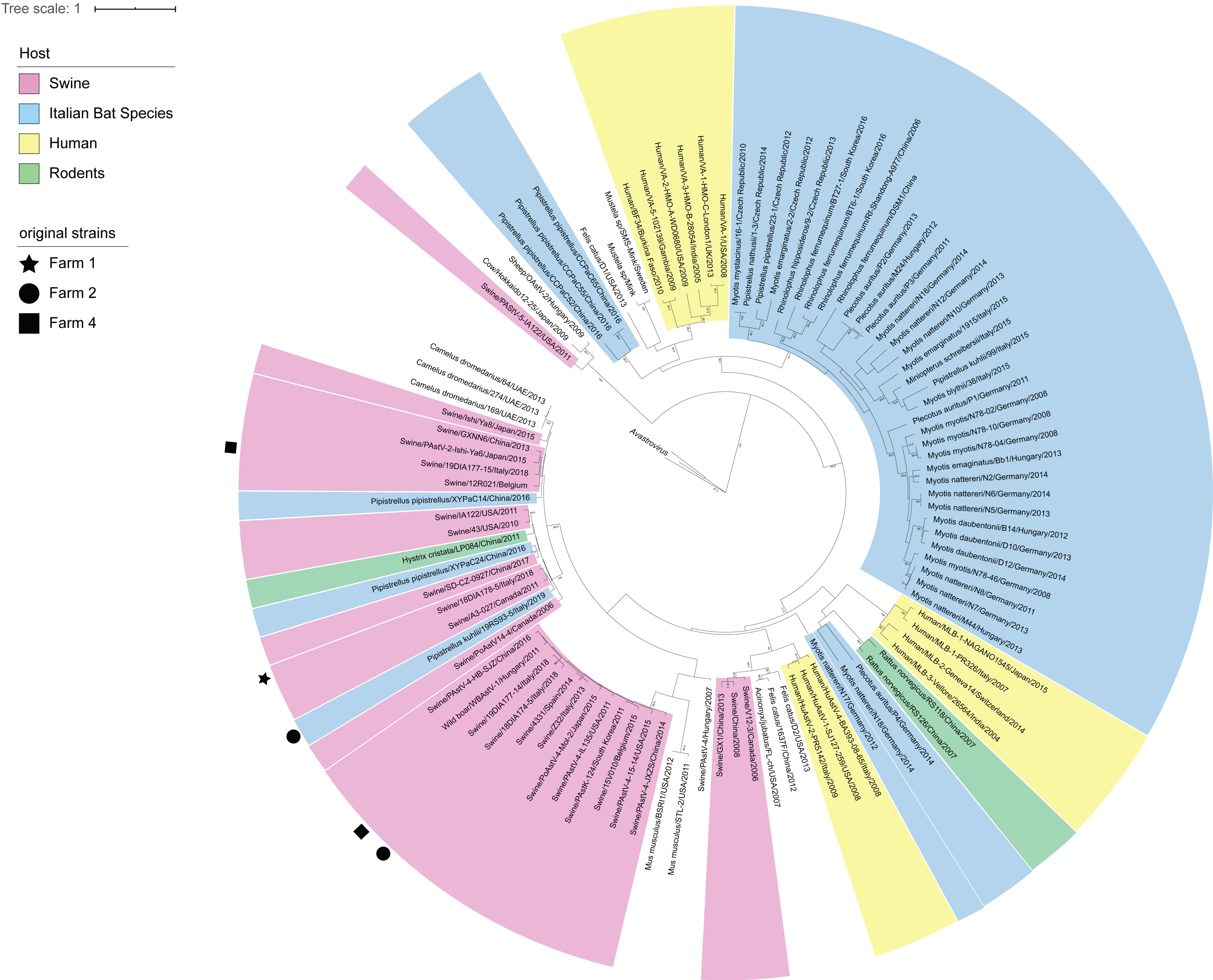 Viruses 13 00004 g003 Viruses 13 00004 g003