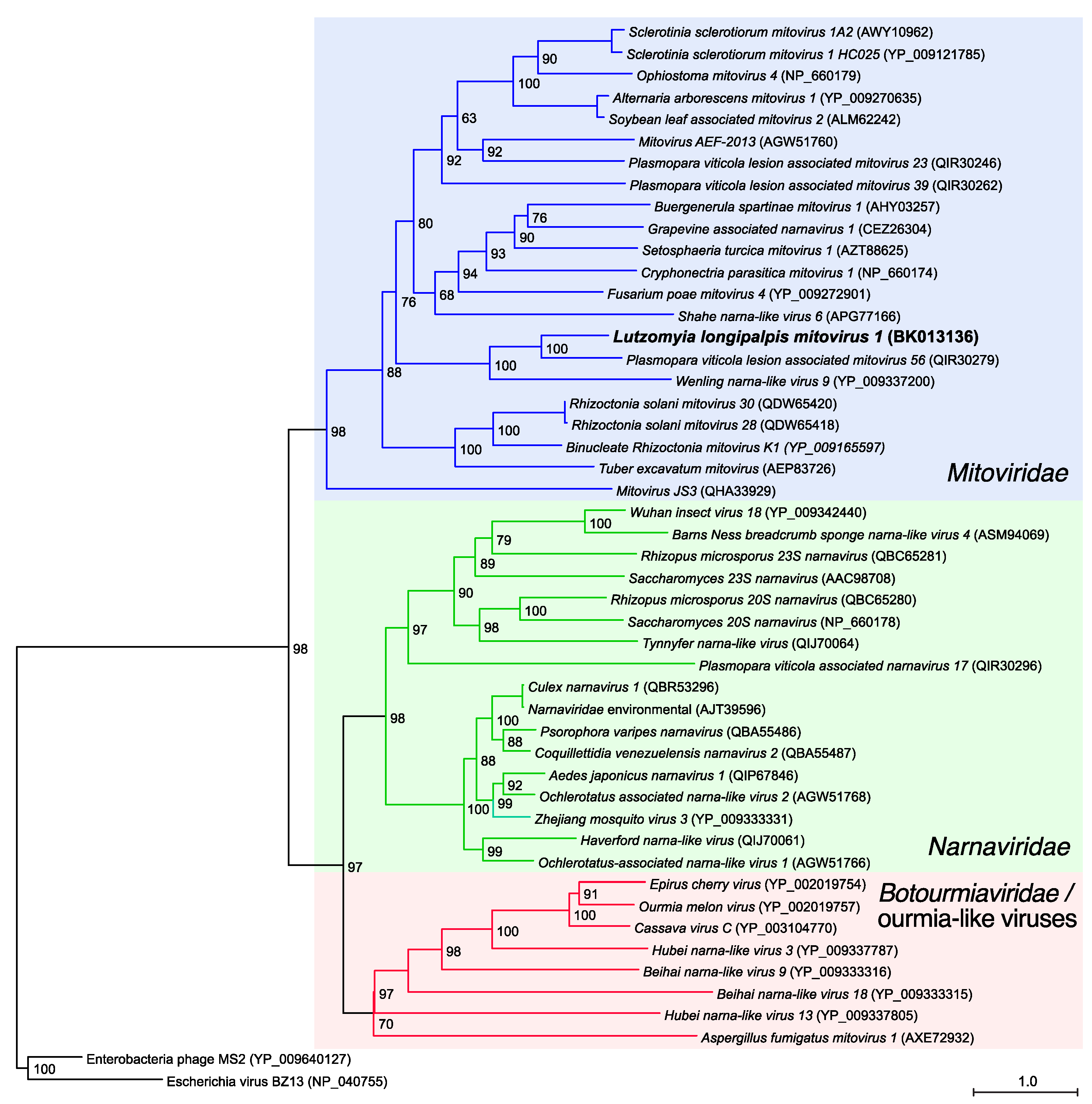 Viruses 13 00009 g002 Viruses 13 00009 g002