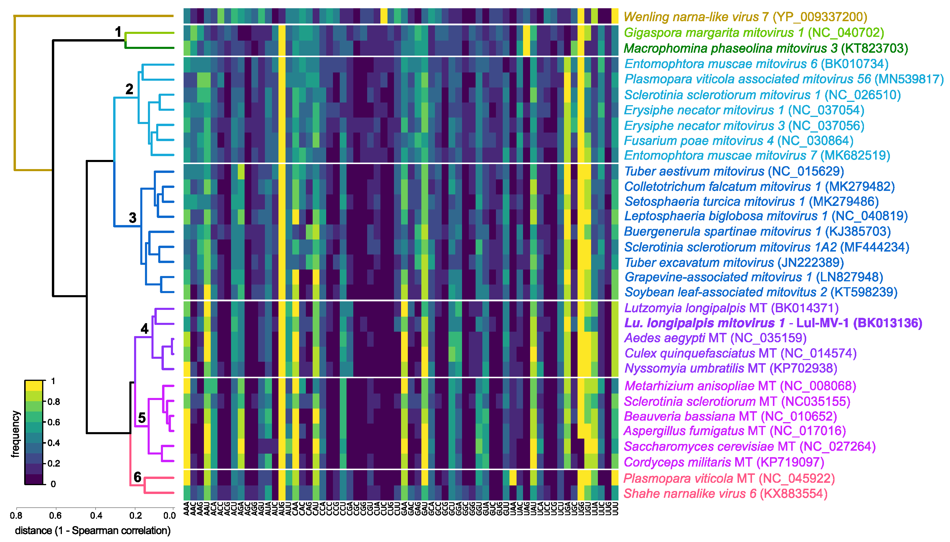 Viruses 13 00009 g005 Viruses 13 00009 g005