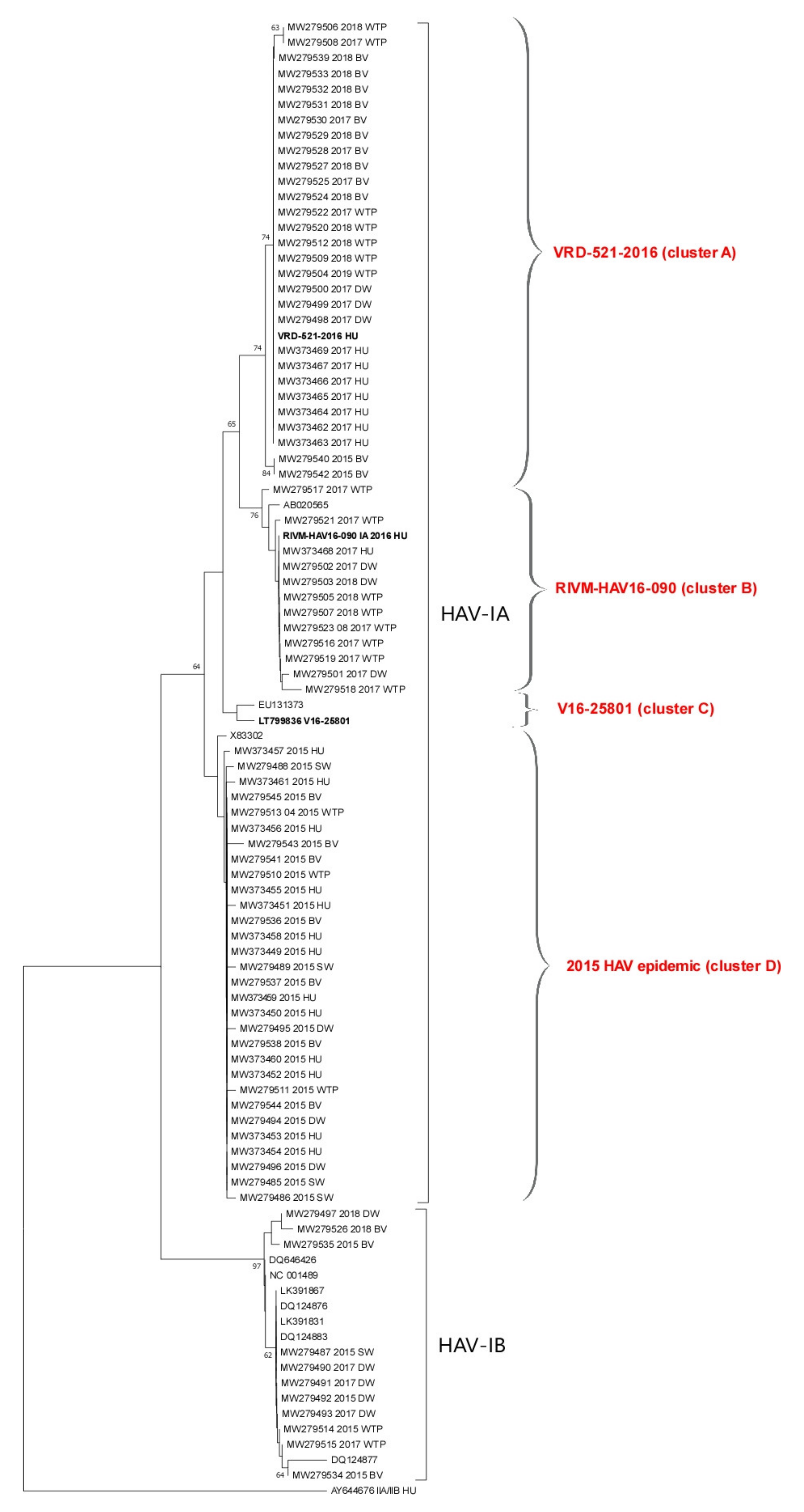 Viruses 13 00016 g002