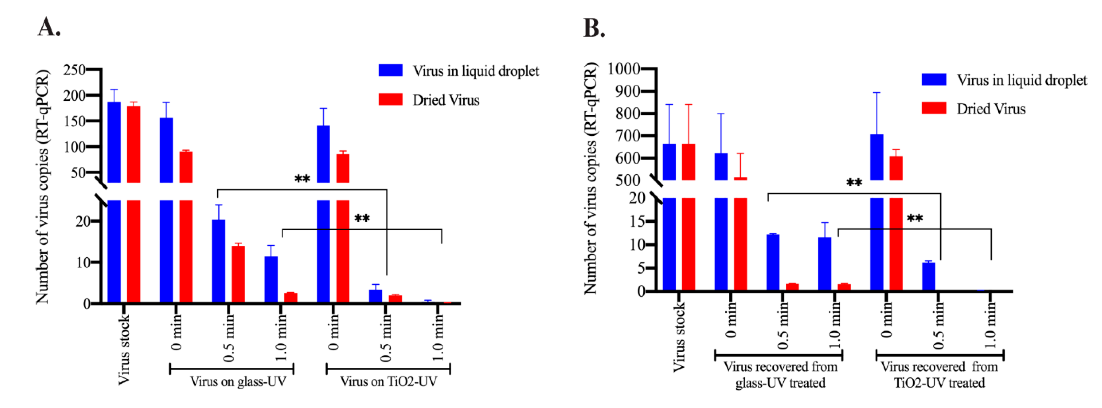 Viruses 13 00019 g004