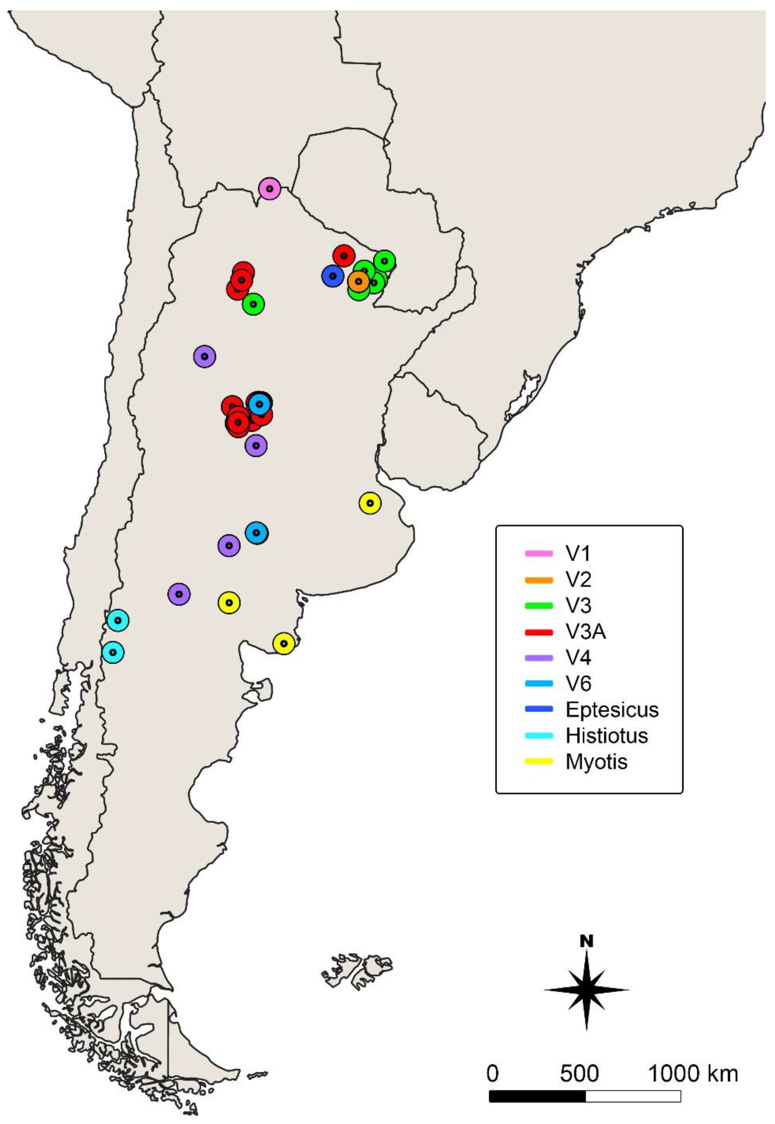 Viruses 13 00023 g001