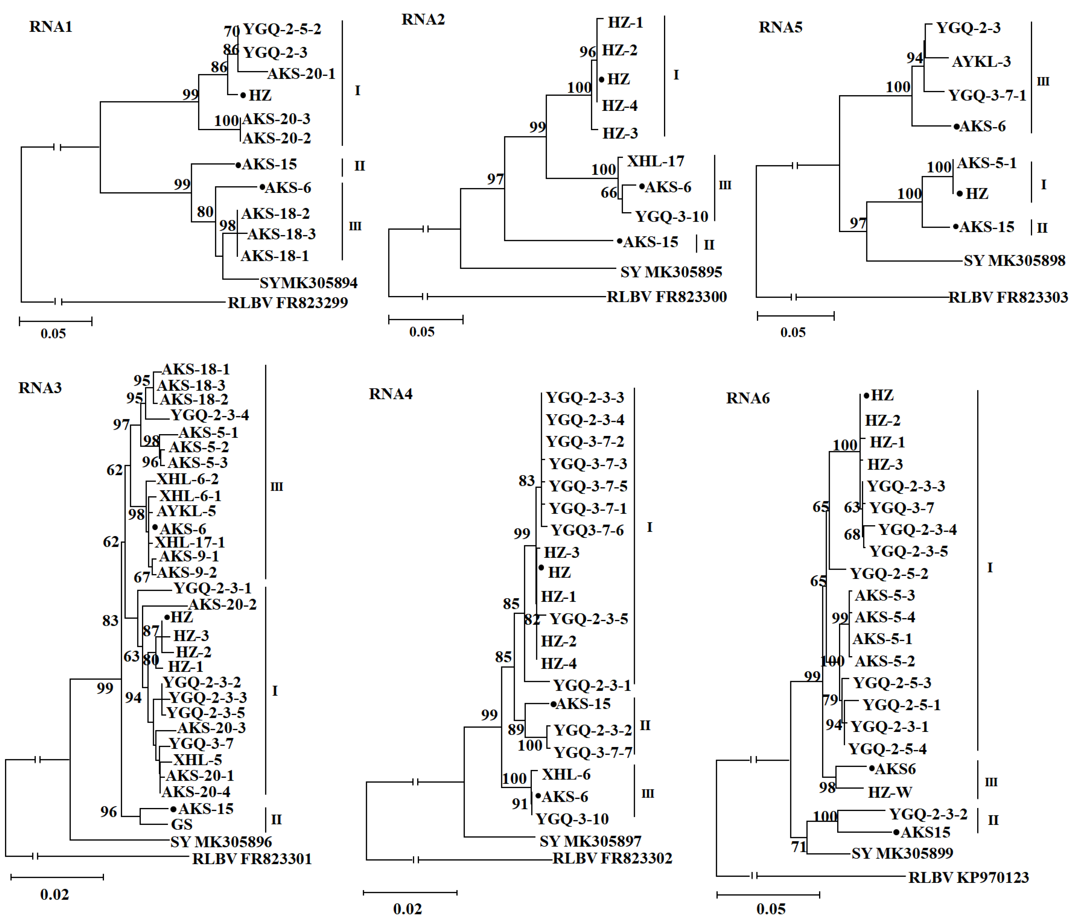Viruses 13 00025 g004