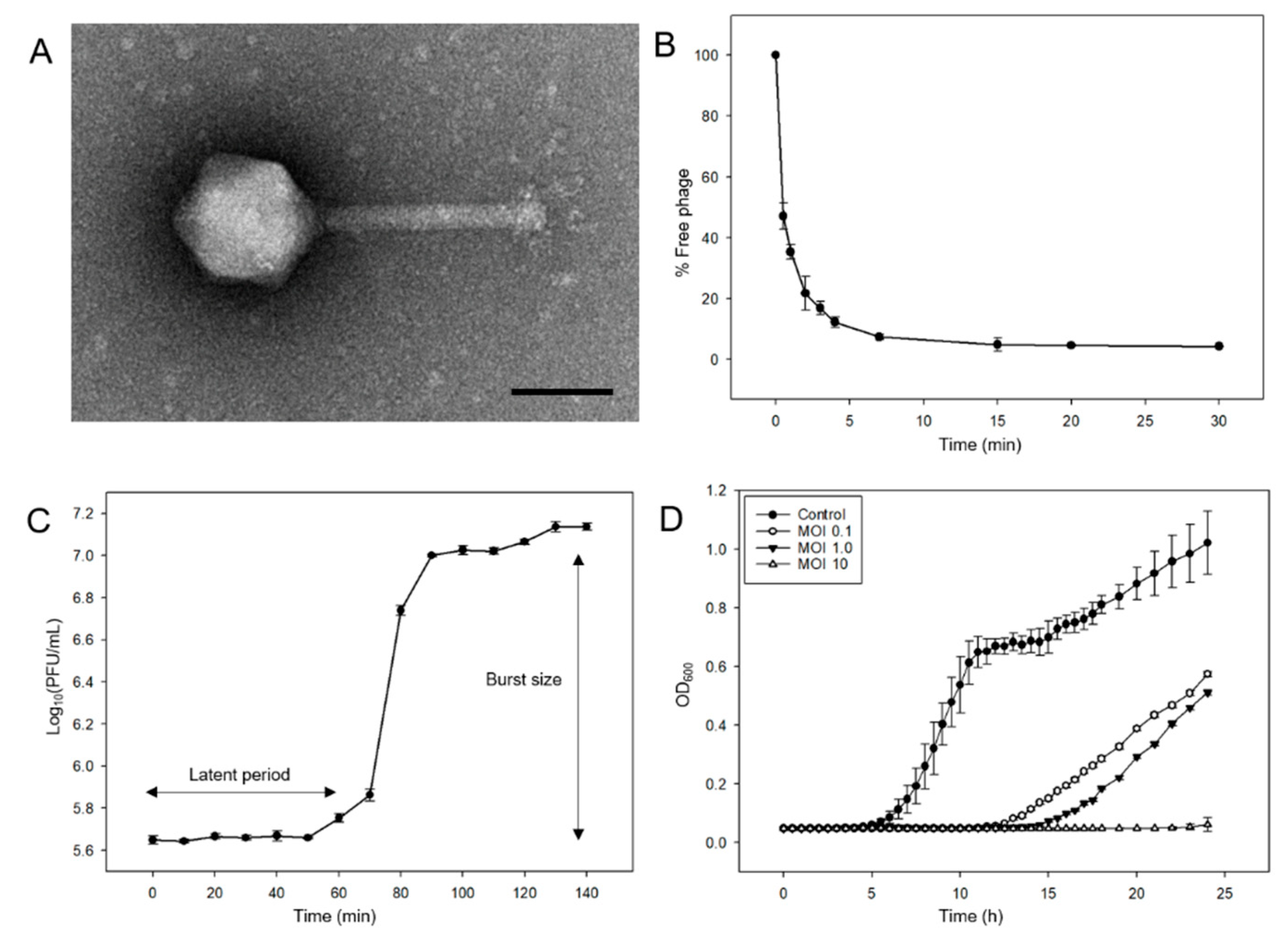 Viruses 13 00027 g001 Viruses 13 00027 g001
