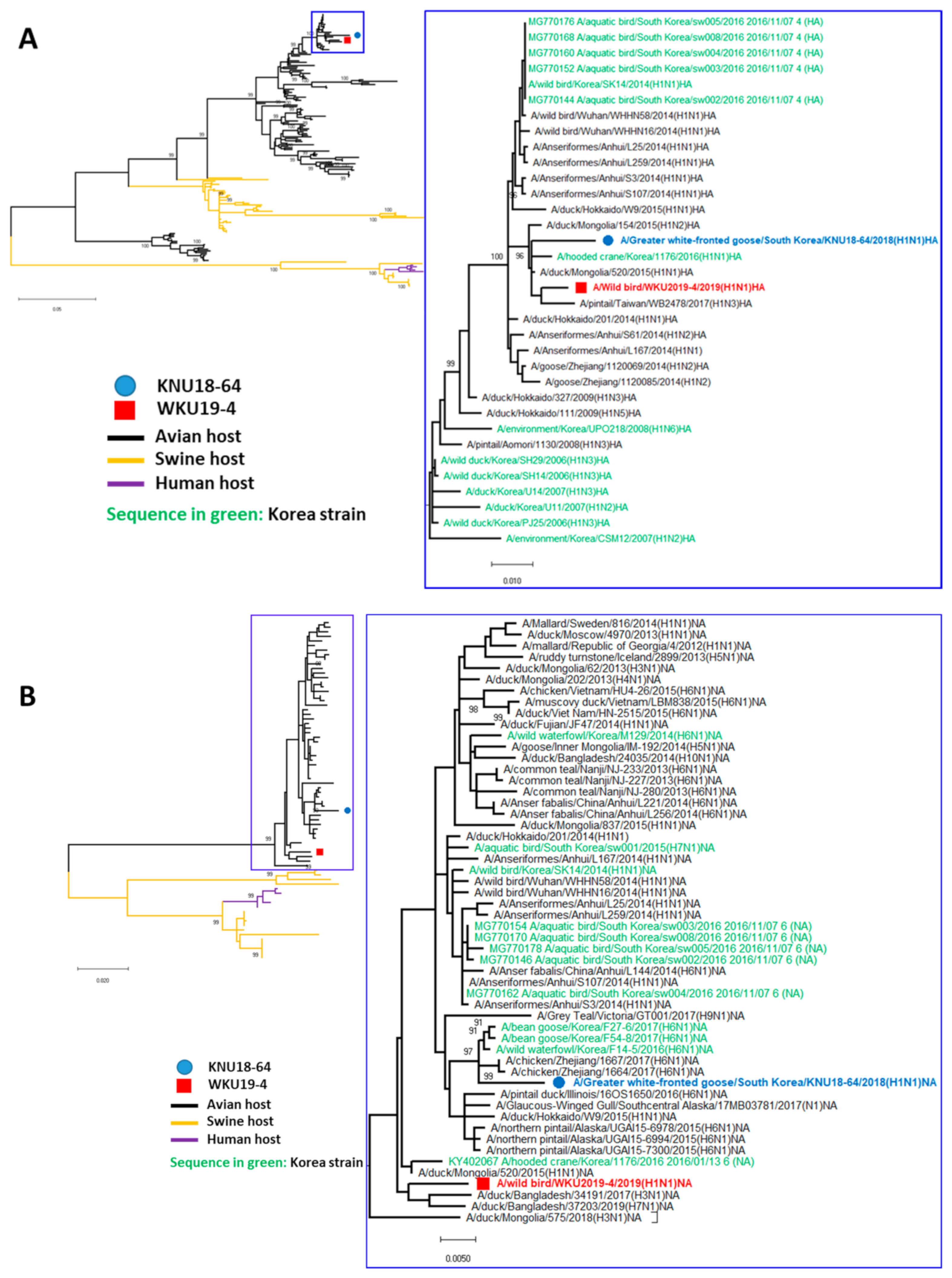 Viruses 13 00030 g002a