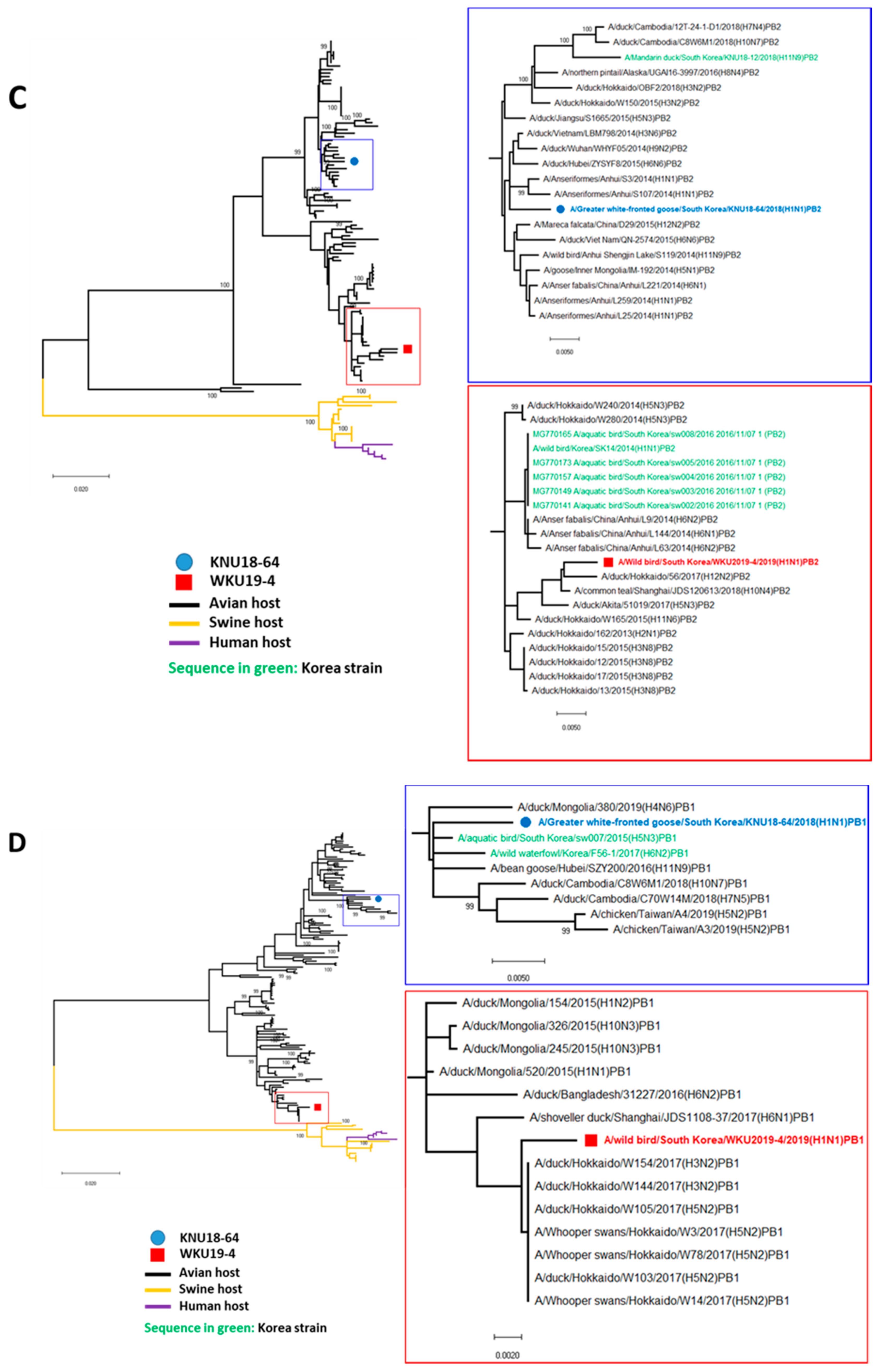 Viruses 13 00030 g002b
