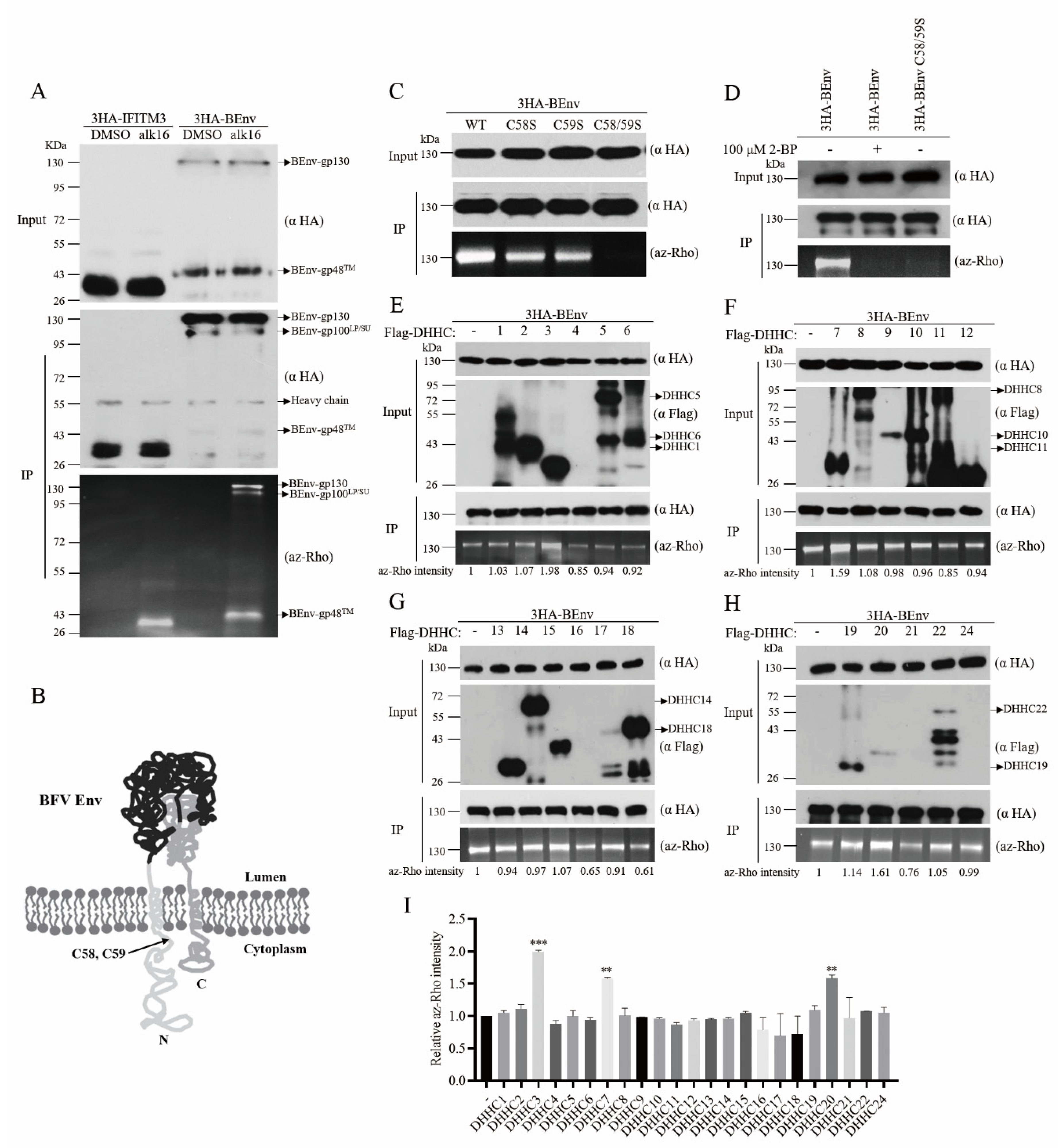 Viruses 13 00031 g001