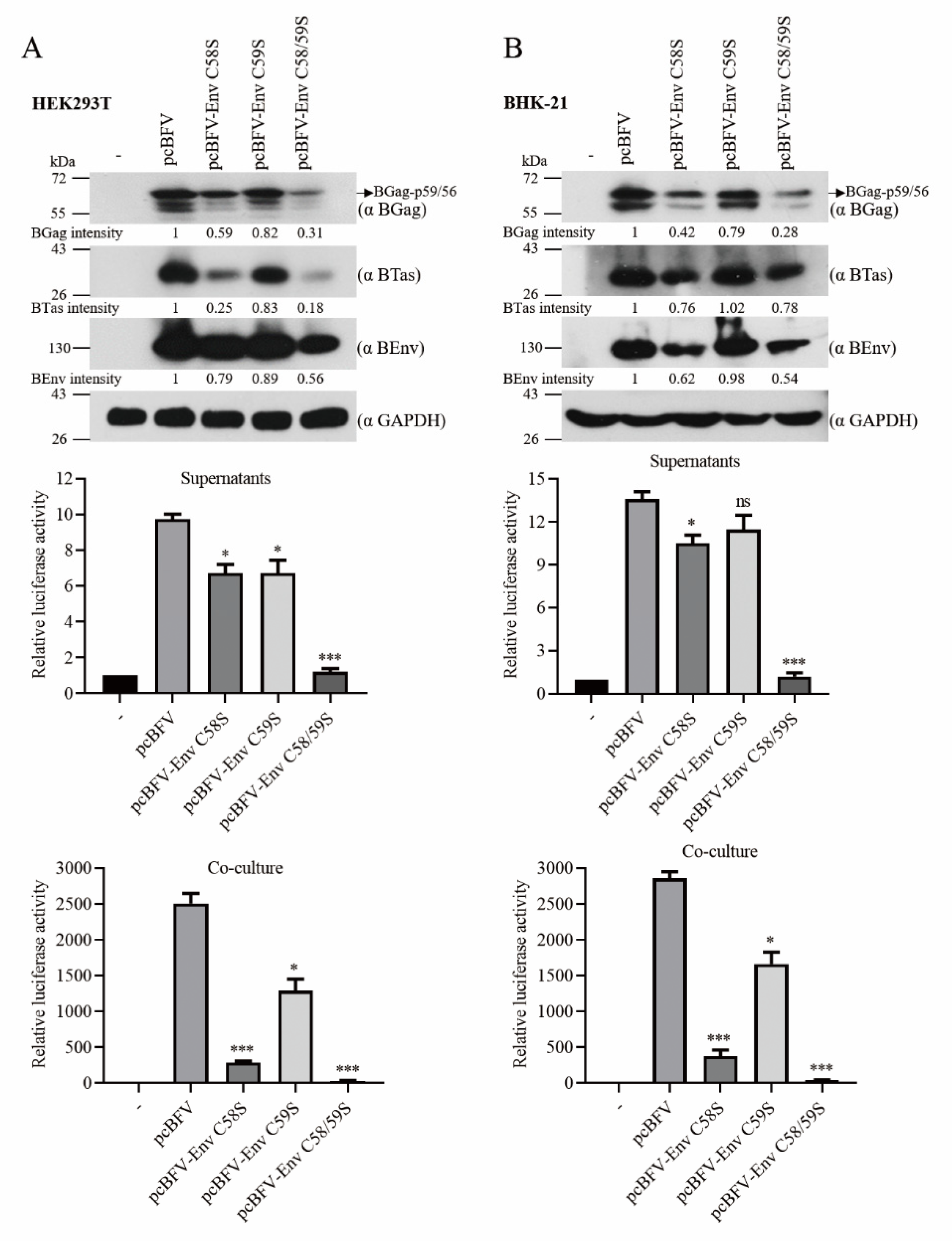 Viruses 13 00031 g005