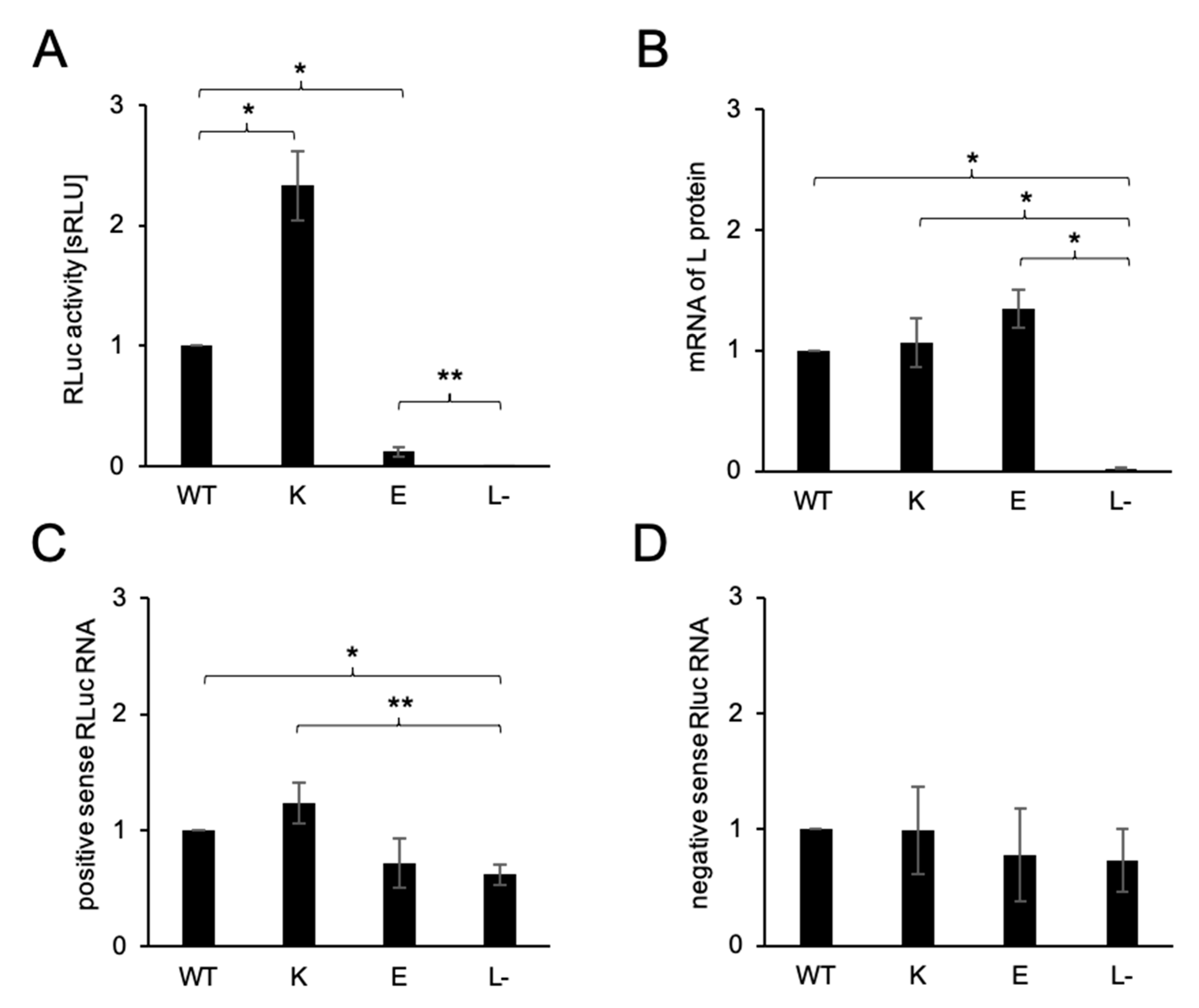 Viruses 13 00033 g003