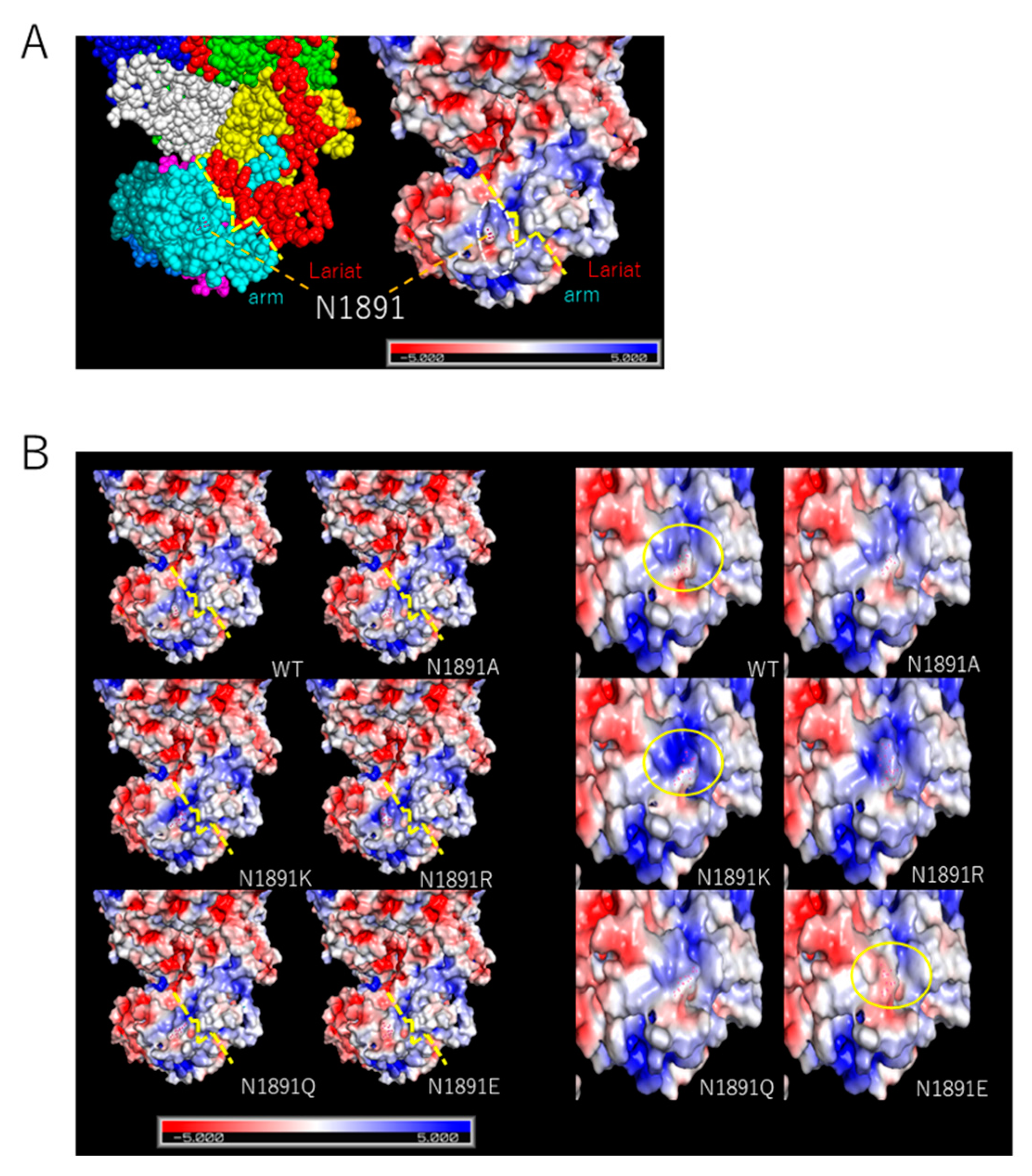 Viruses 13 00033 g004