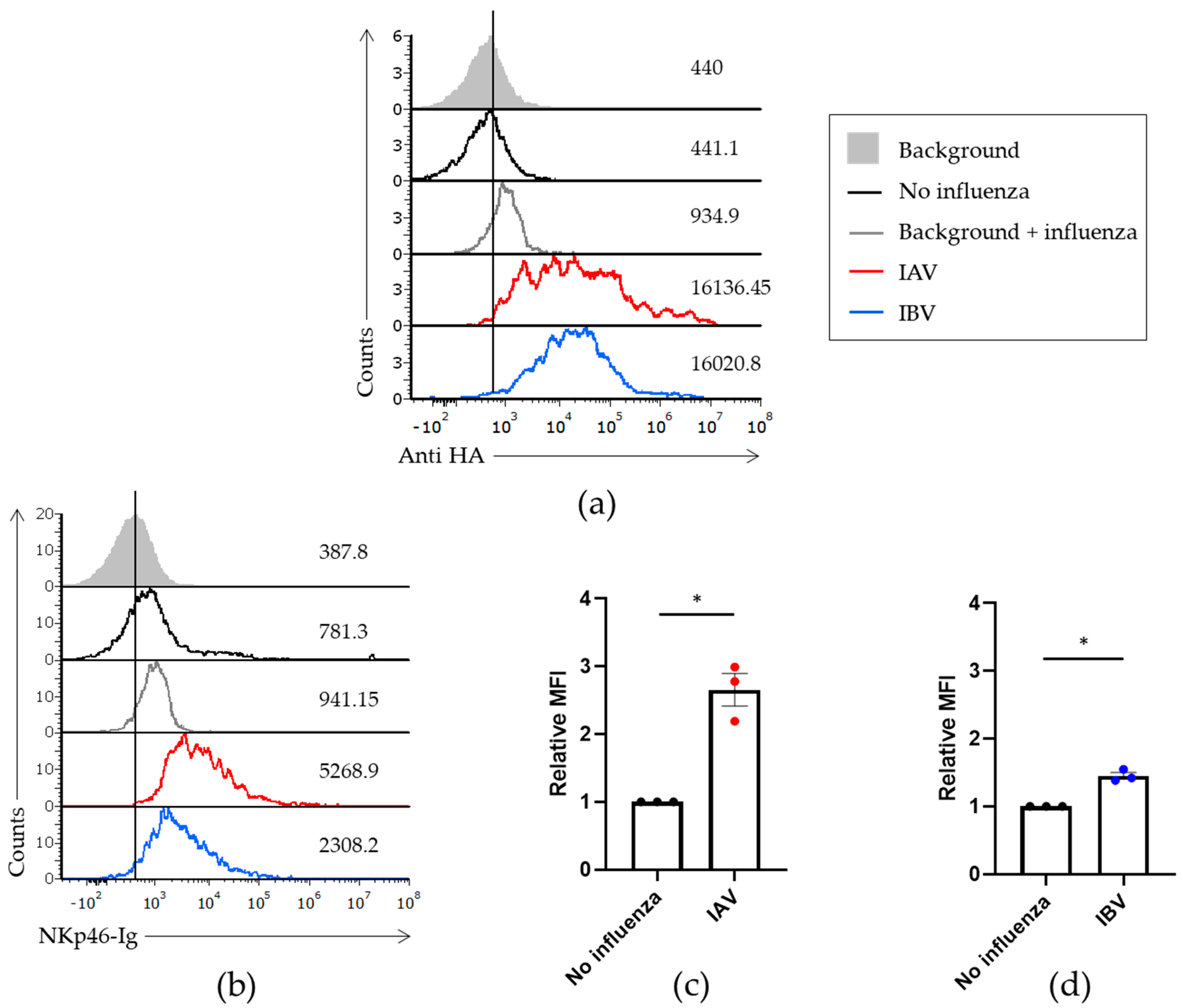 Viruses 13 00034 g001