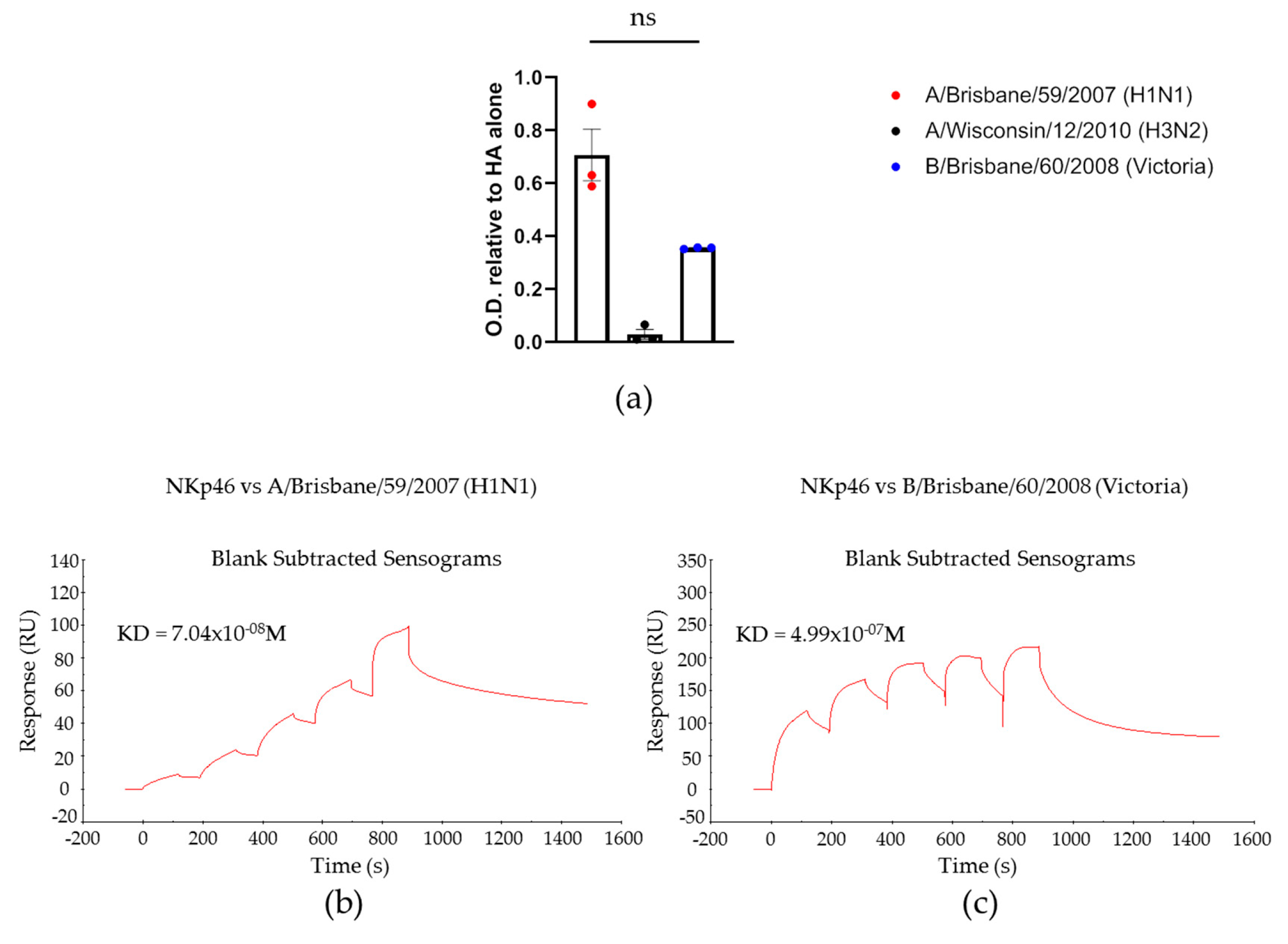 Viruses 13 00034 g002