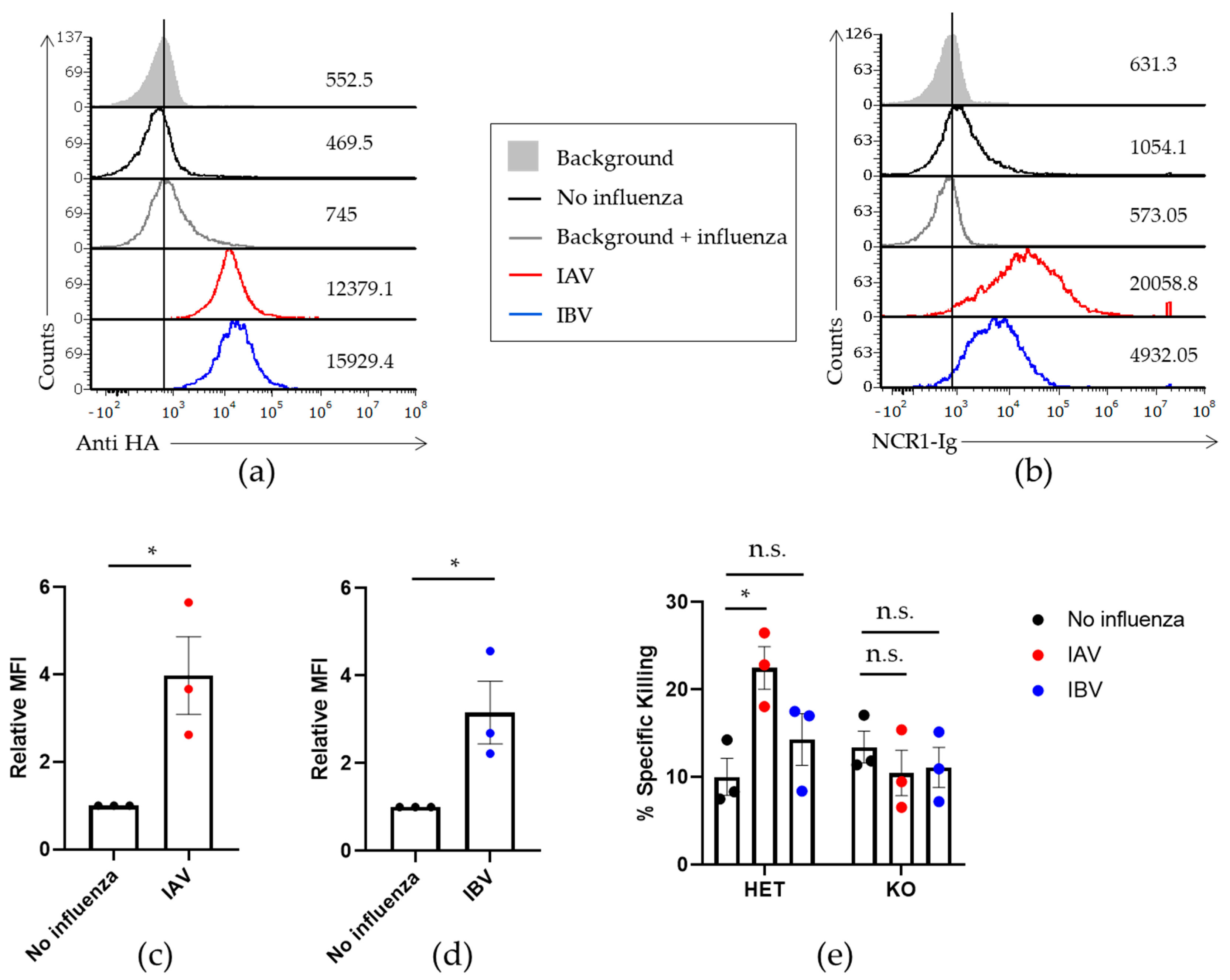 Viruses 13 00034 g005