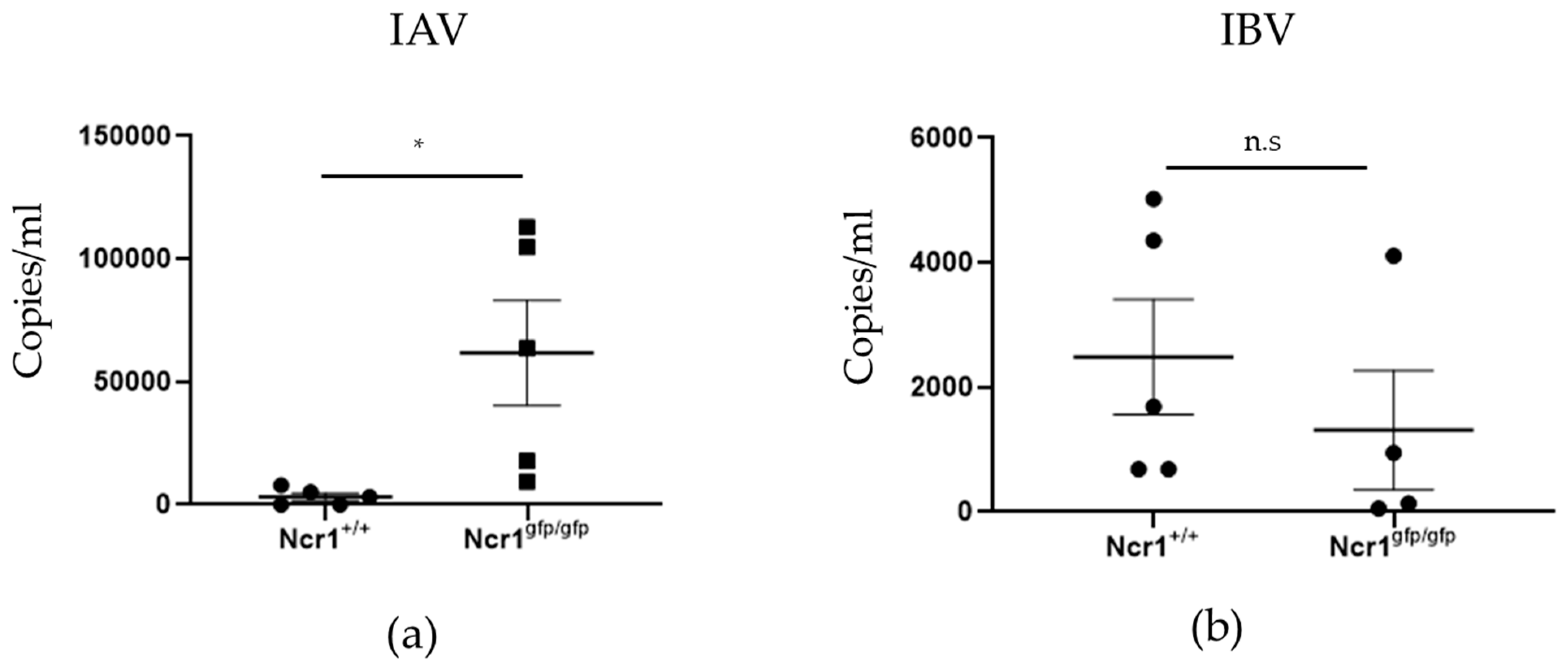 Viruses 13 00034 g006
