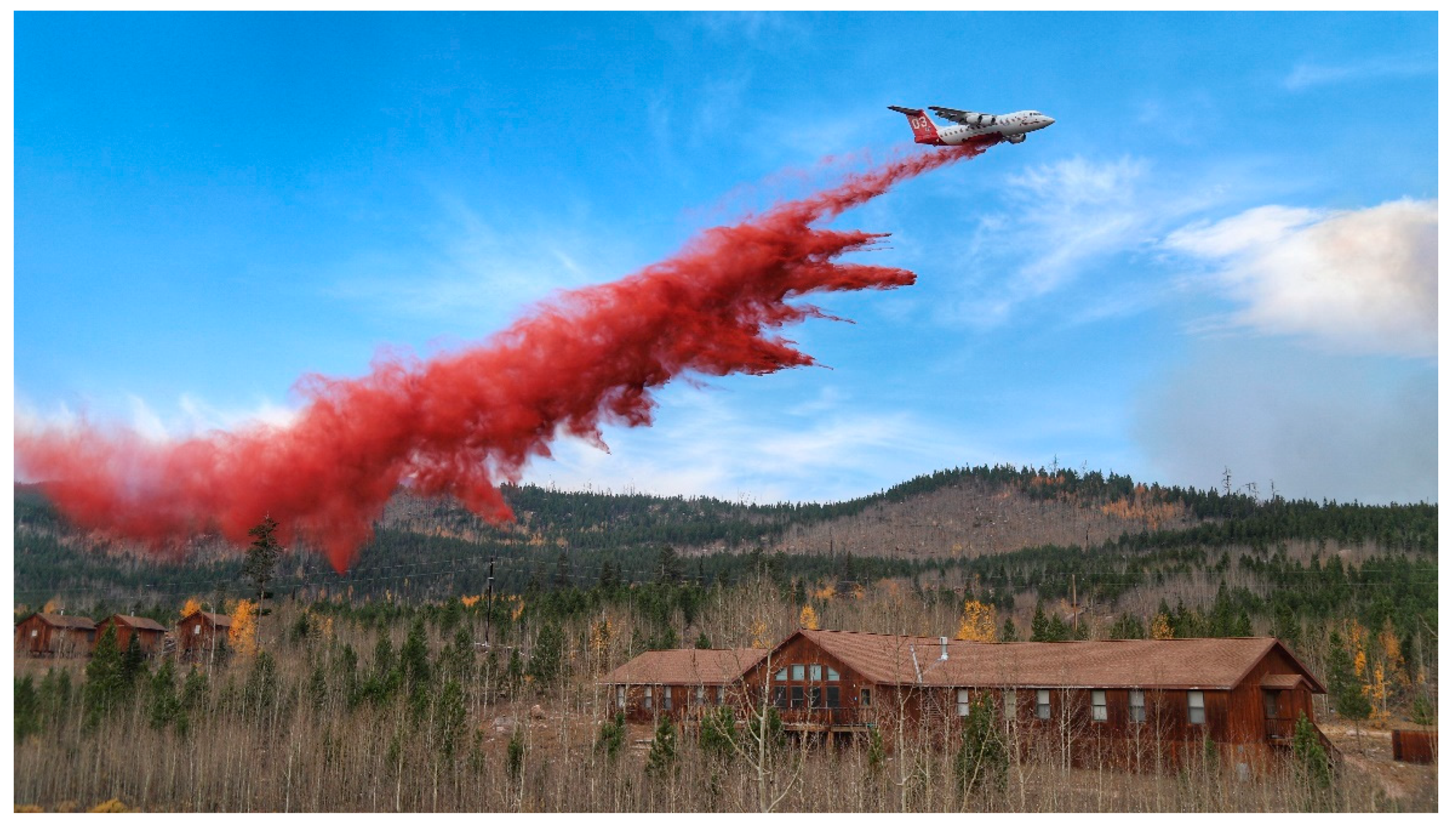 Viruses 13 00038 g002