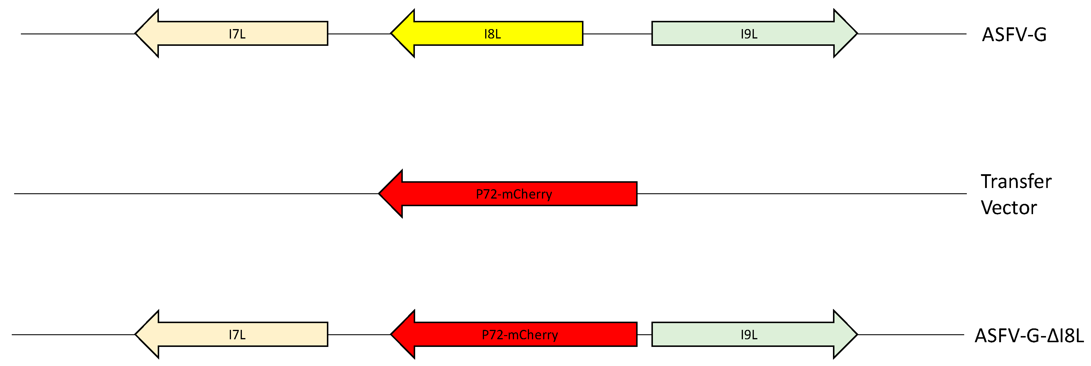 Viruses 13 00039 g002