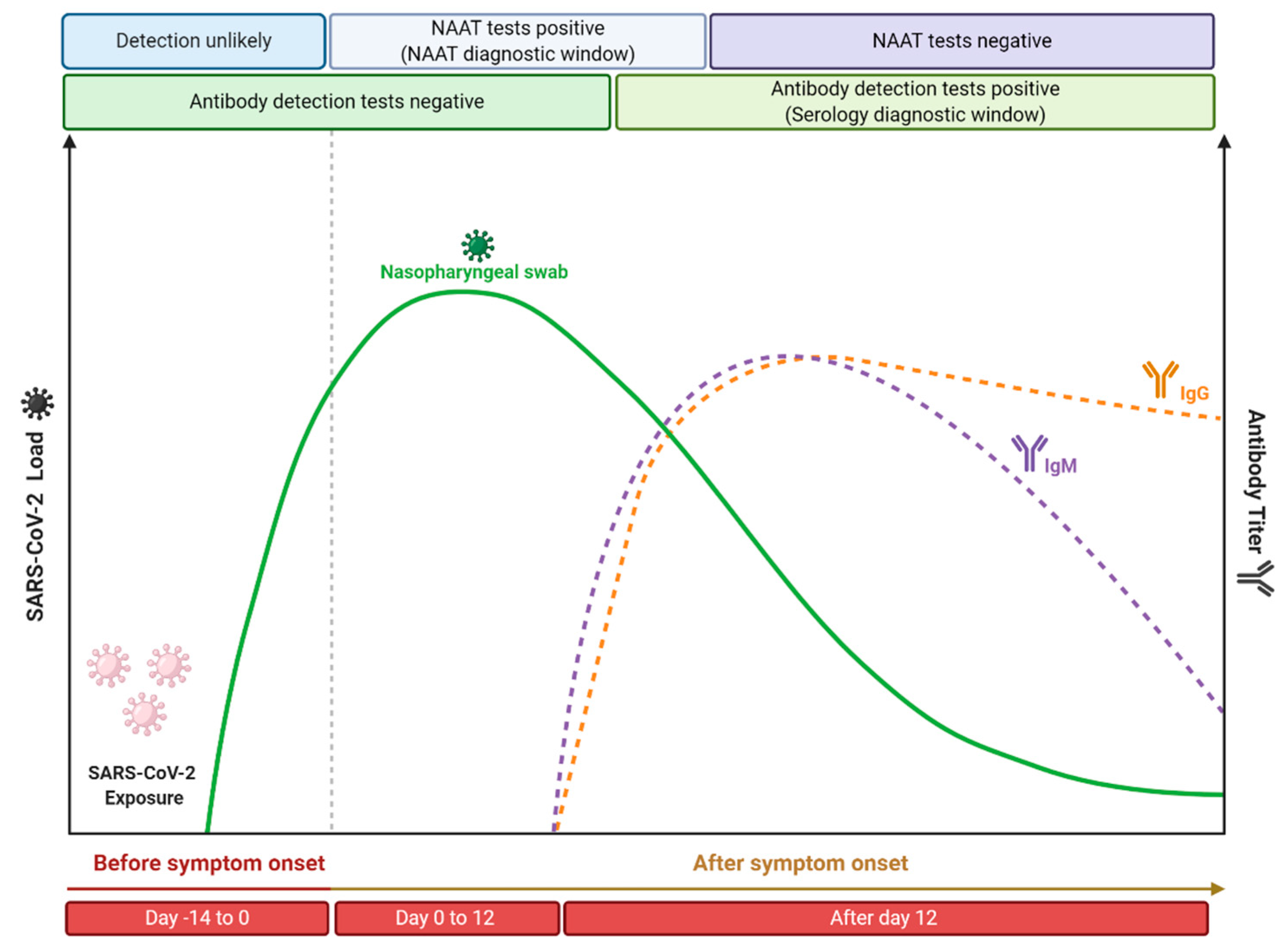 Viruses 13 00040 g004