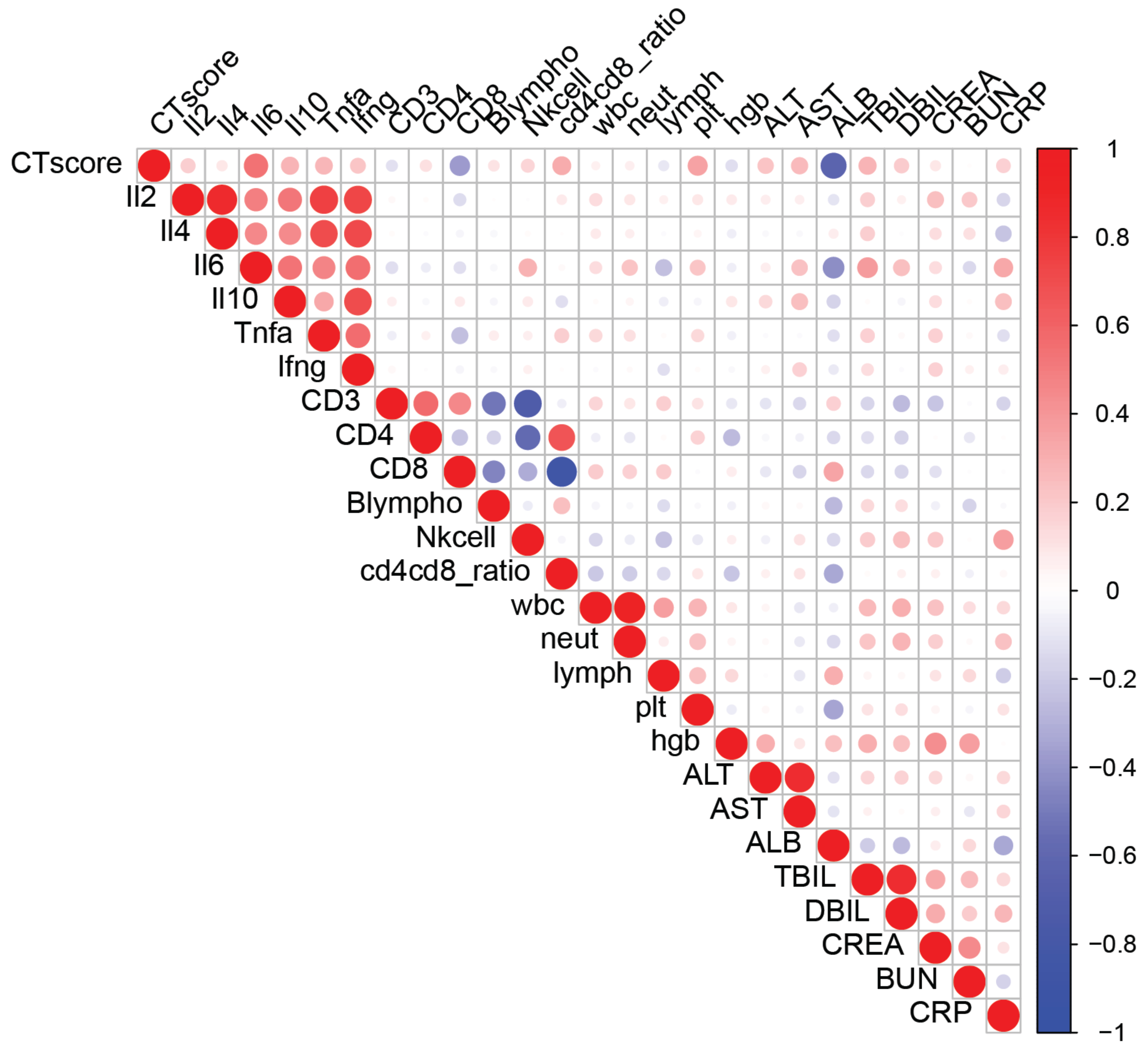 Viruses 13 00044 g003