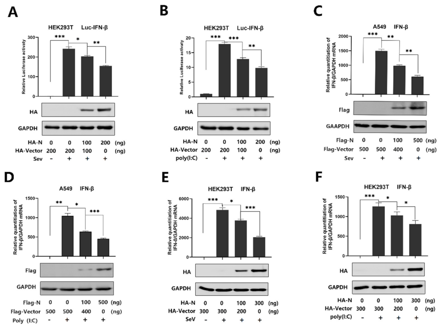 Viruses 13 00047 g001