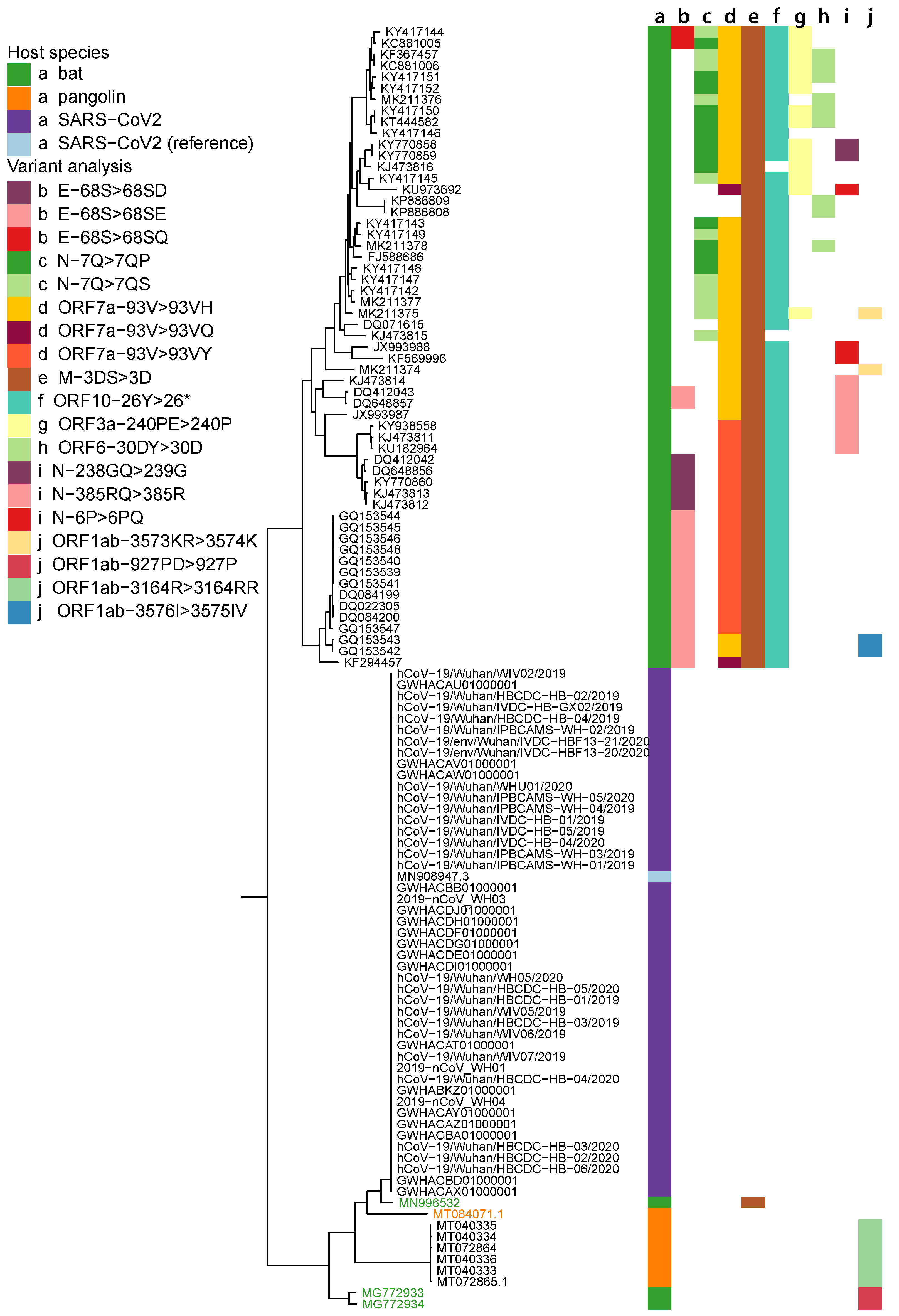 Viruses 13 00049 g001