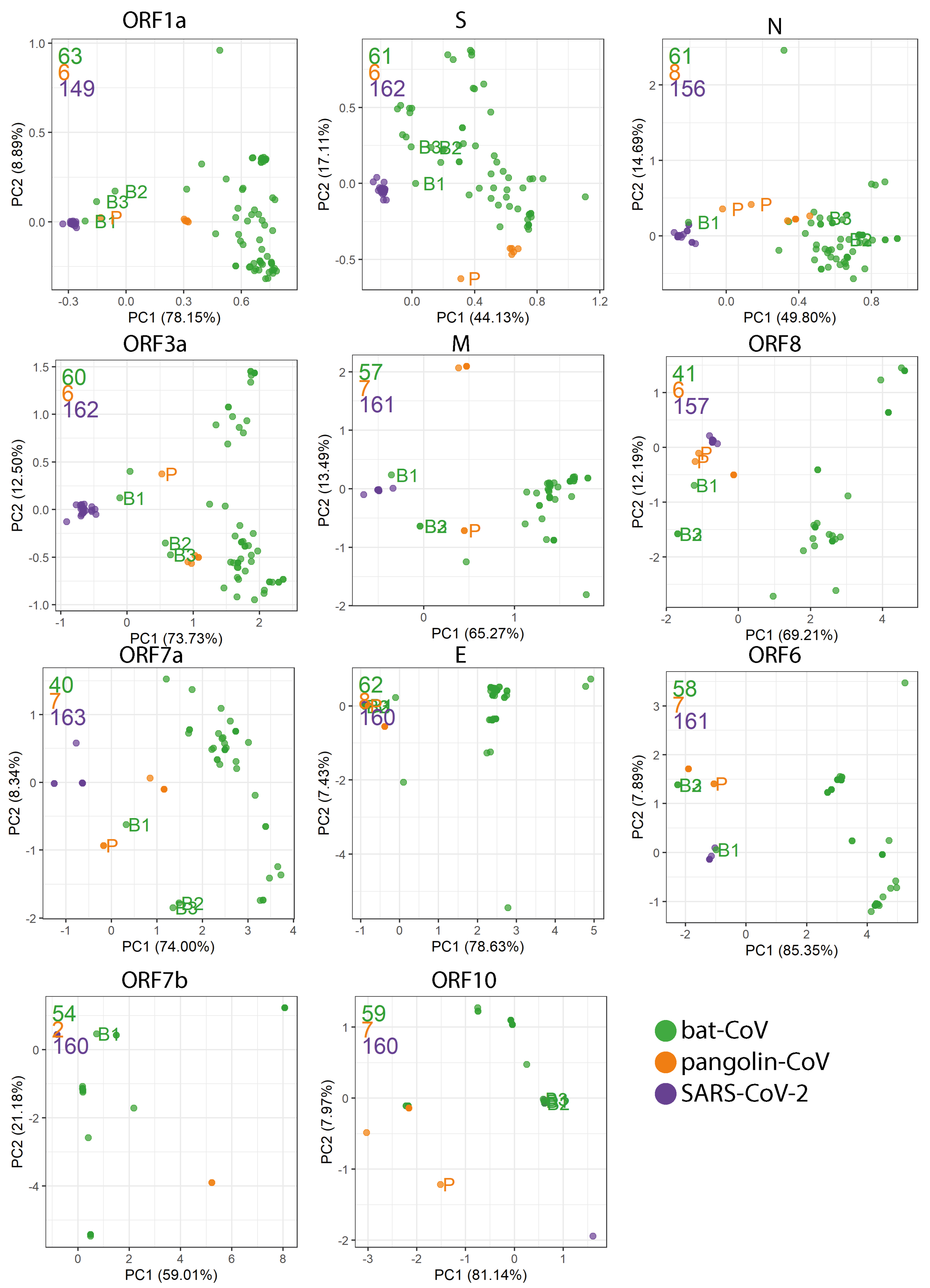 Viruses 13 00049 g003