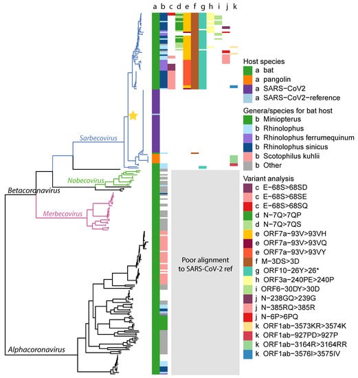 Viruses 13 00049 g0a1
