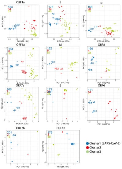 Viruses 13 00049 g0a3