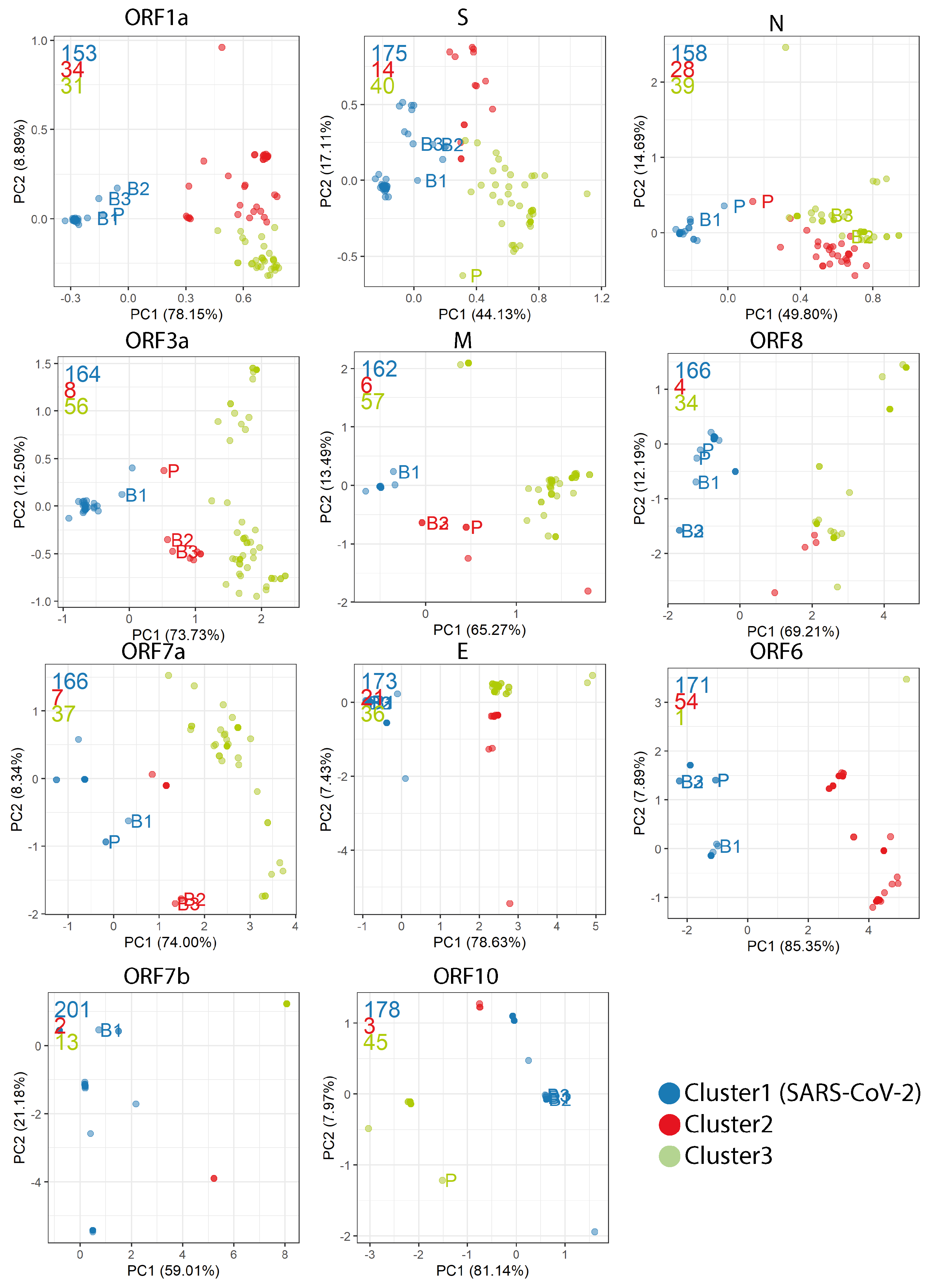 Viruses 13 00049 g0a3