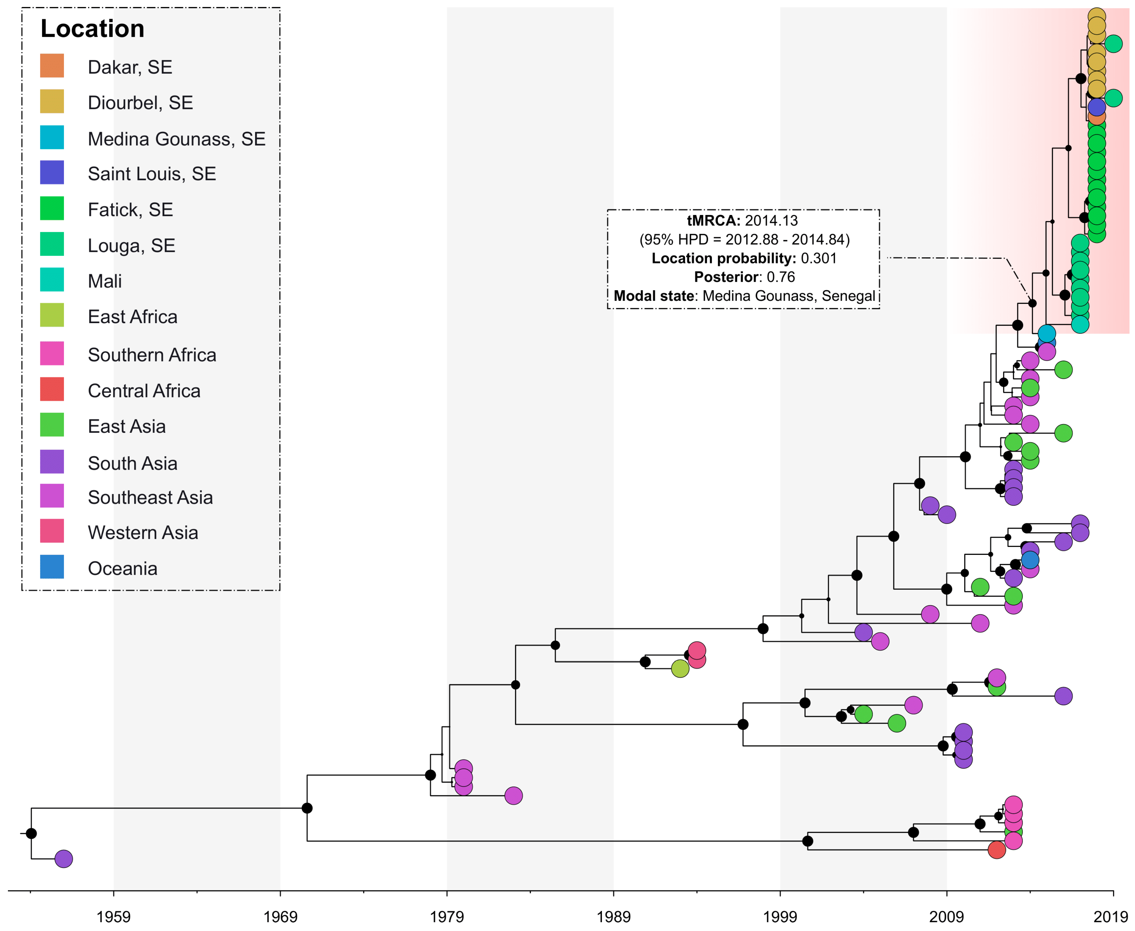 Viruses 13 00057 g003