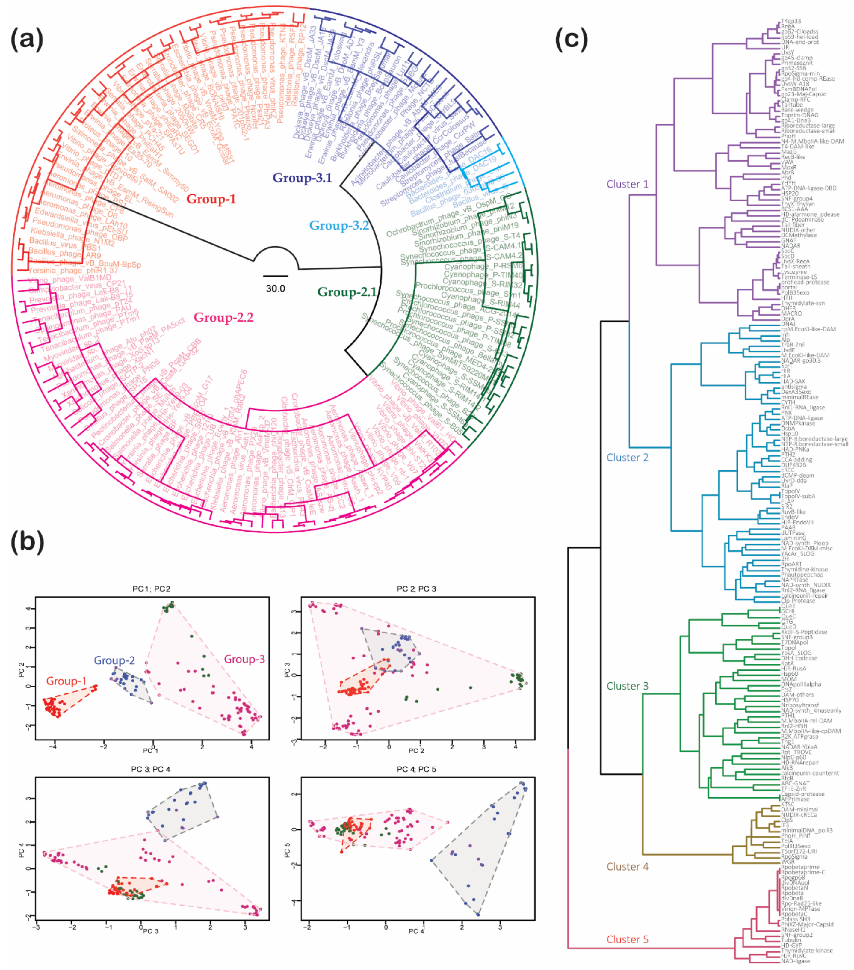Viruses 13 00063 g002