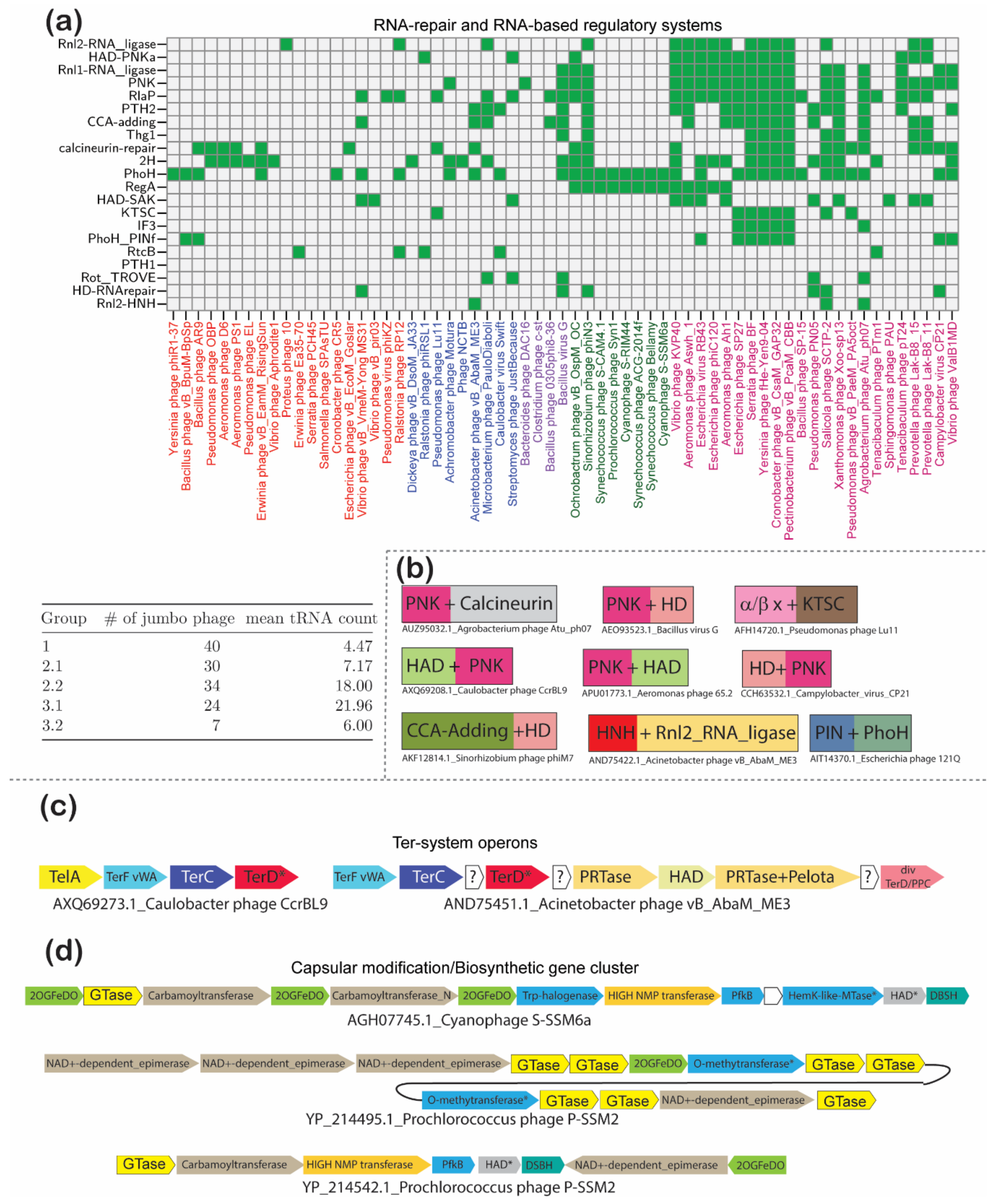 Viruses 13 00063 g007