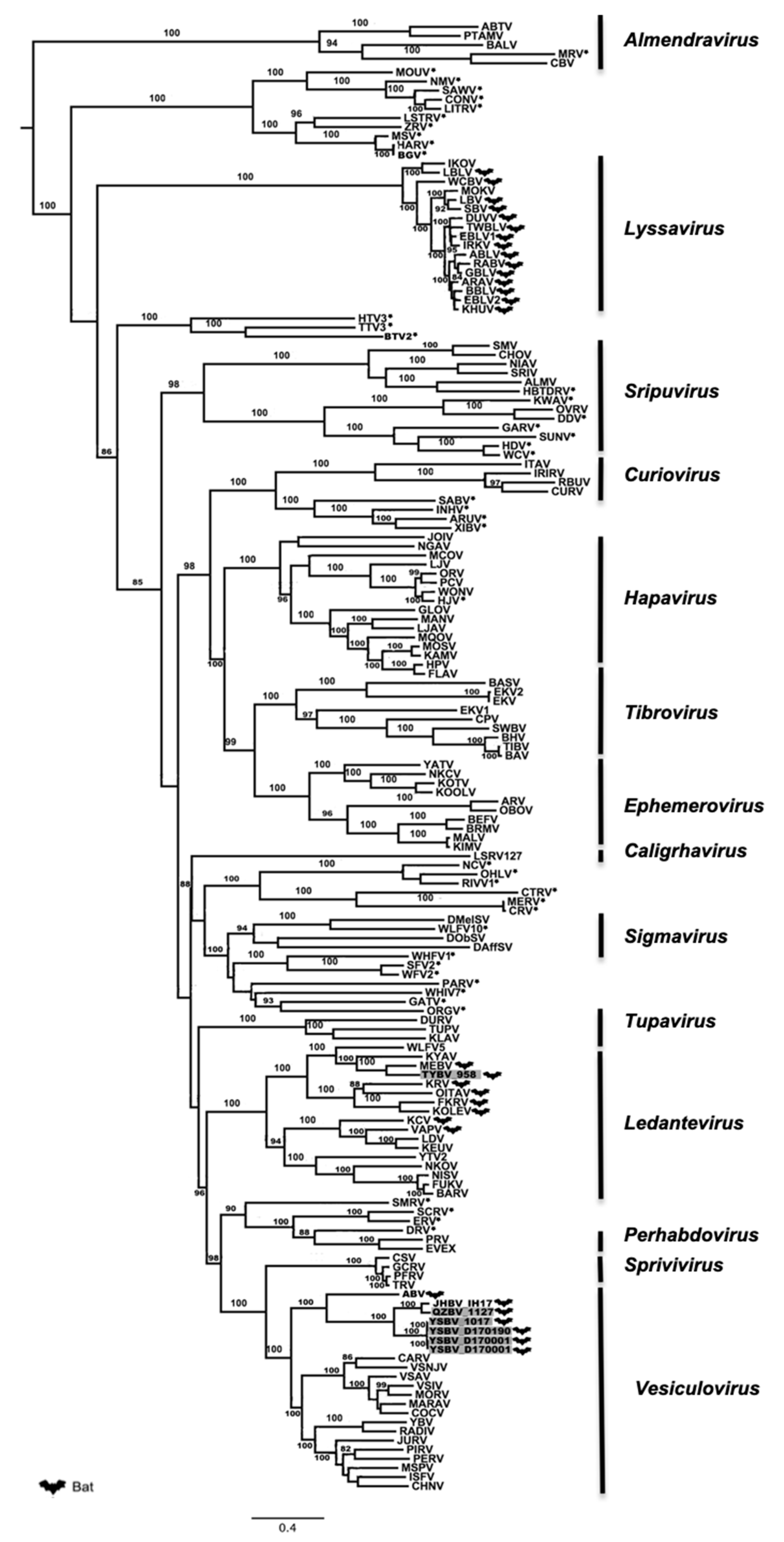 Viruses 13 00064 g003