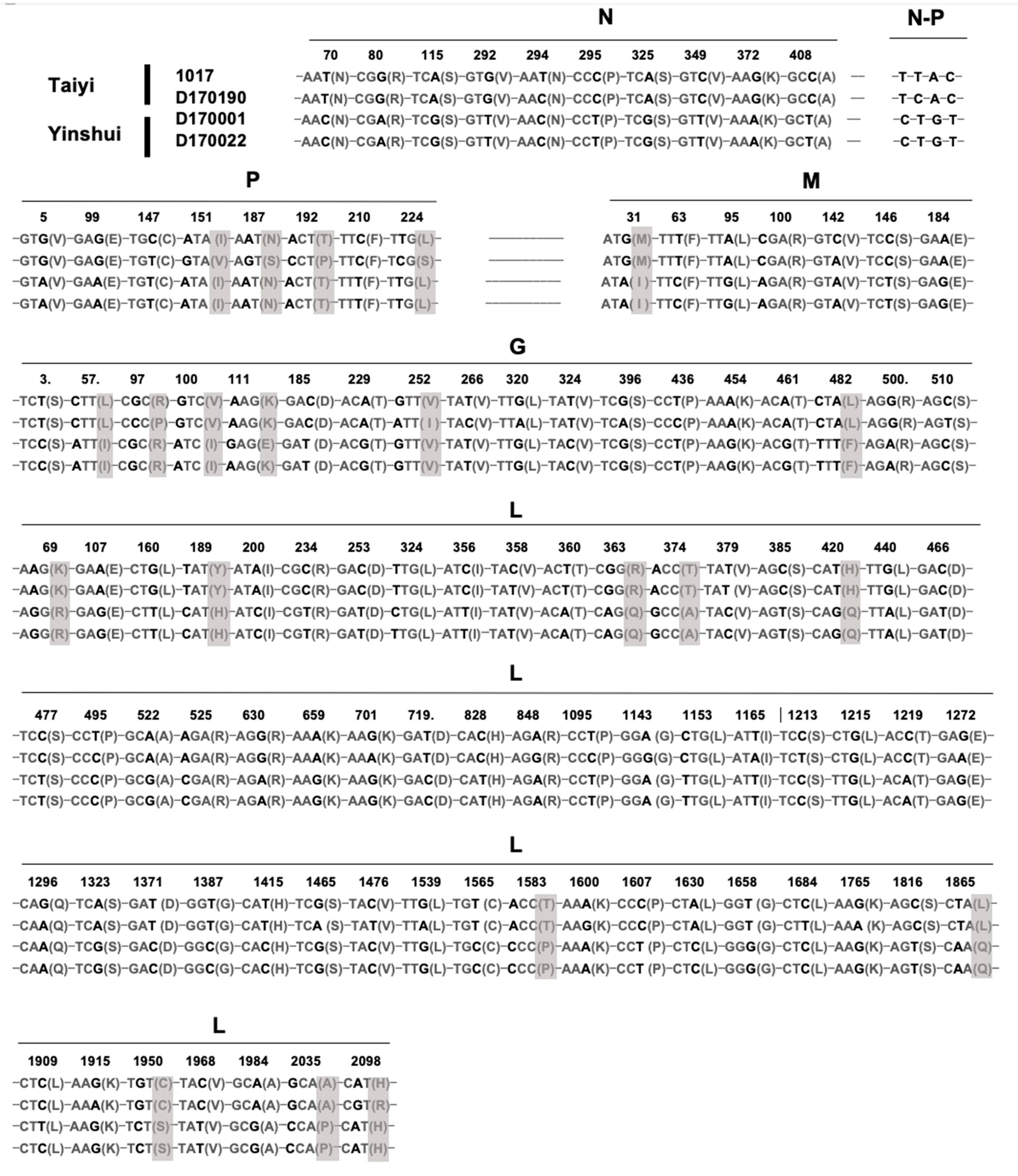 Viruses 13 00064 g005
