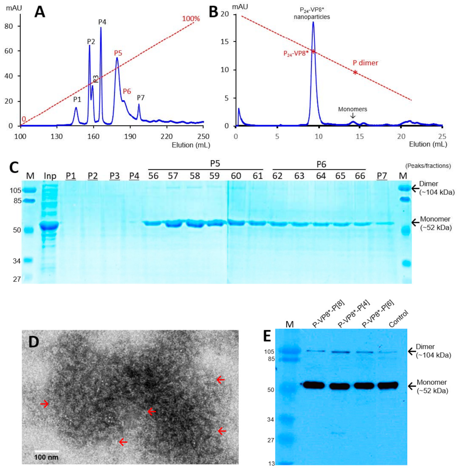 Viruses 13 00072 g001