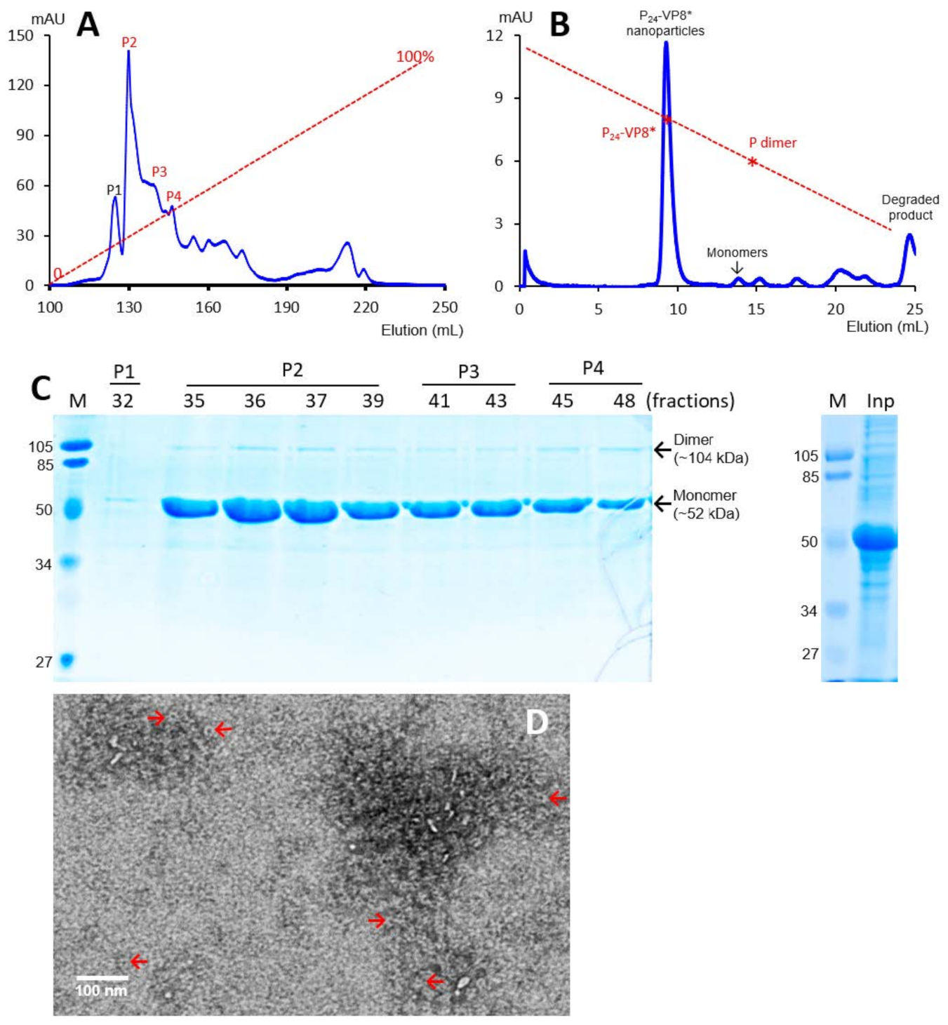 Viruses 13 00072 g002