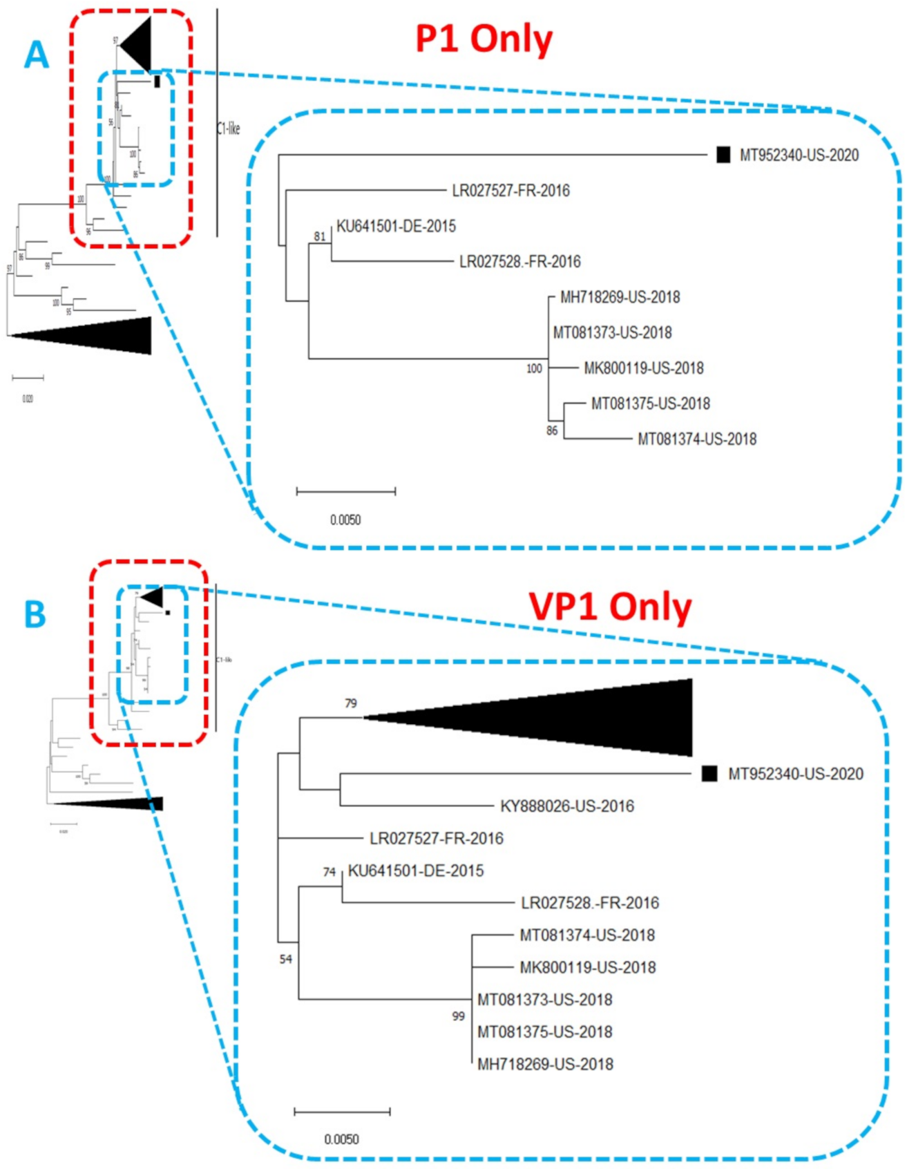 Viruses 13 00074 g002